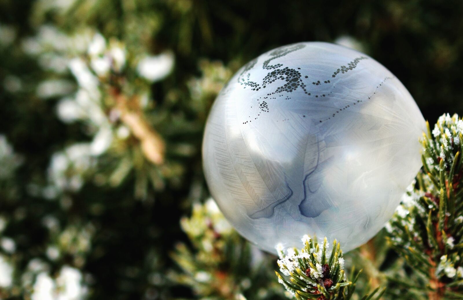 Nikon D5200 sample photo. Fir, cold, sphere, winter photography