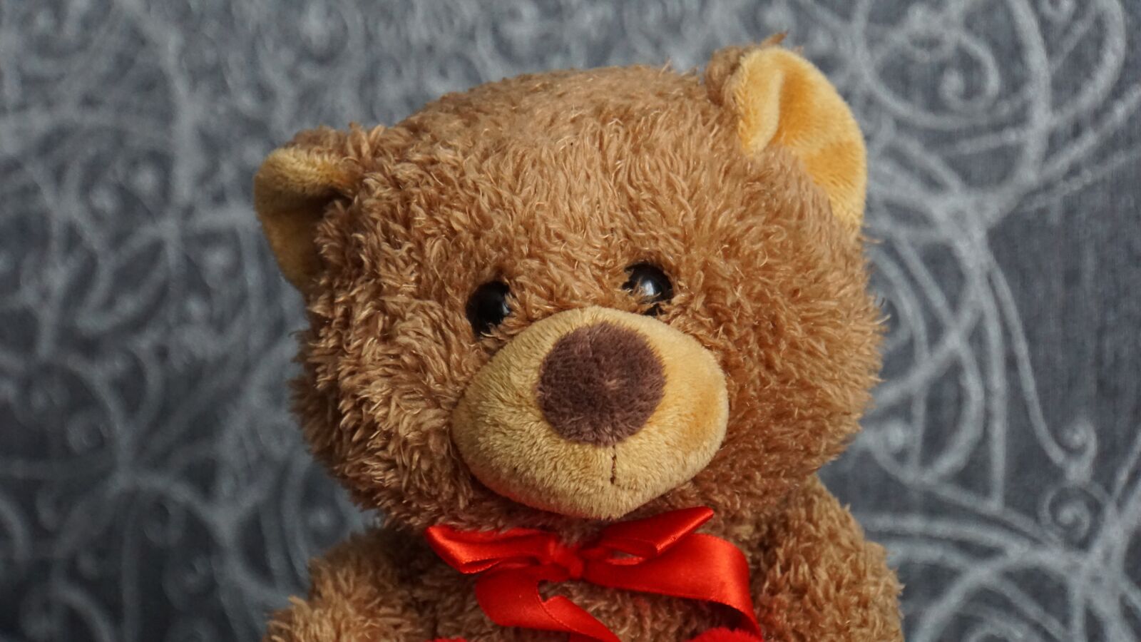 Sony E 18-200mm F3.5-6.3 OSS LE sample photo. Teddy, teddy bear, stuffed photography
