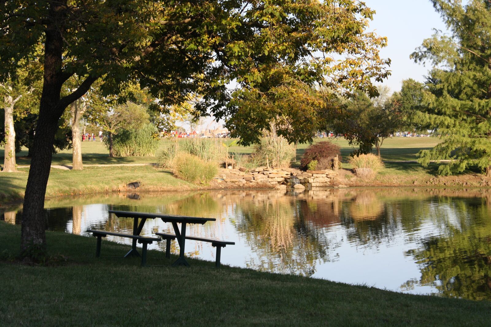 Canon EOS 1000D (EOS Digital Rebel XS / EOS Kiss F) sample photo. Tree, nature, grass photography