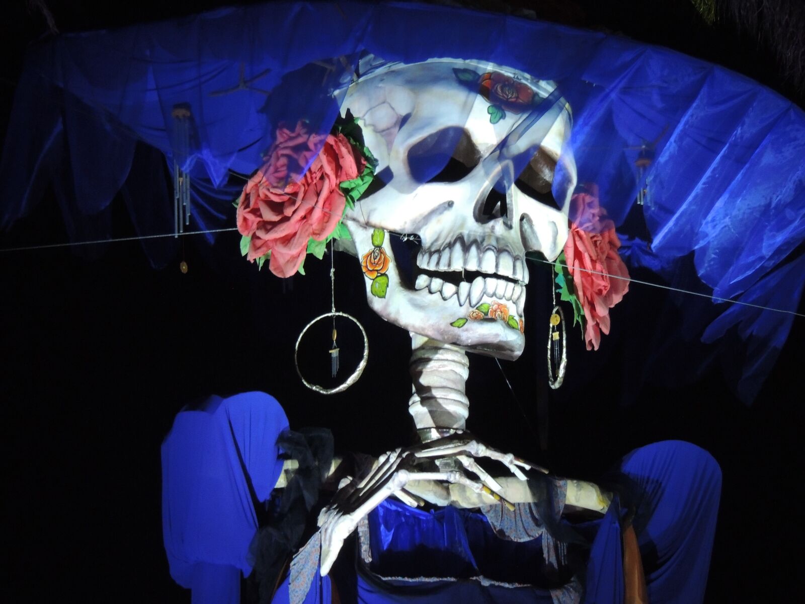 Nikon Coolpix P510 sample photo. Catrina, mexico, day of photography