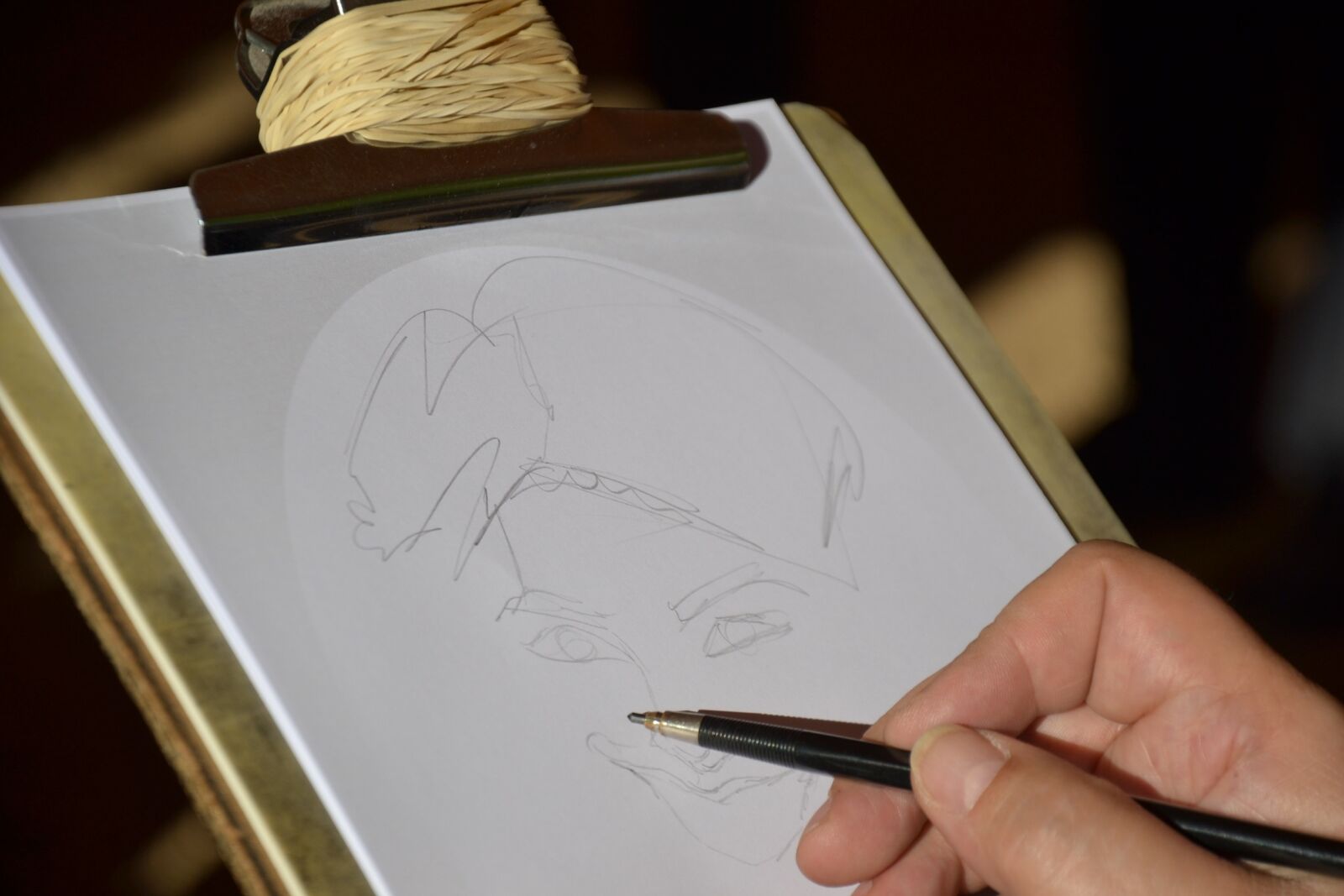 Nikon D3100 sample photo. Drawing, pencil, leaf photography