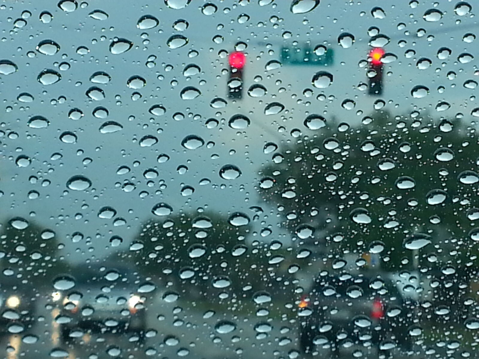 Samsung Galaxy S3 sample photo