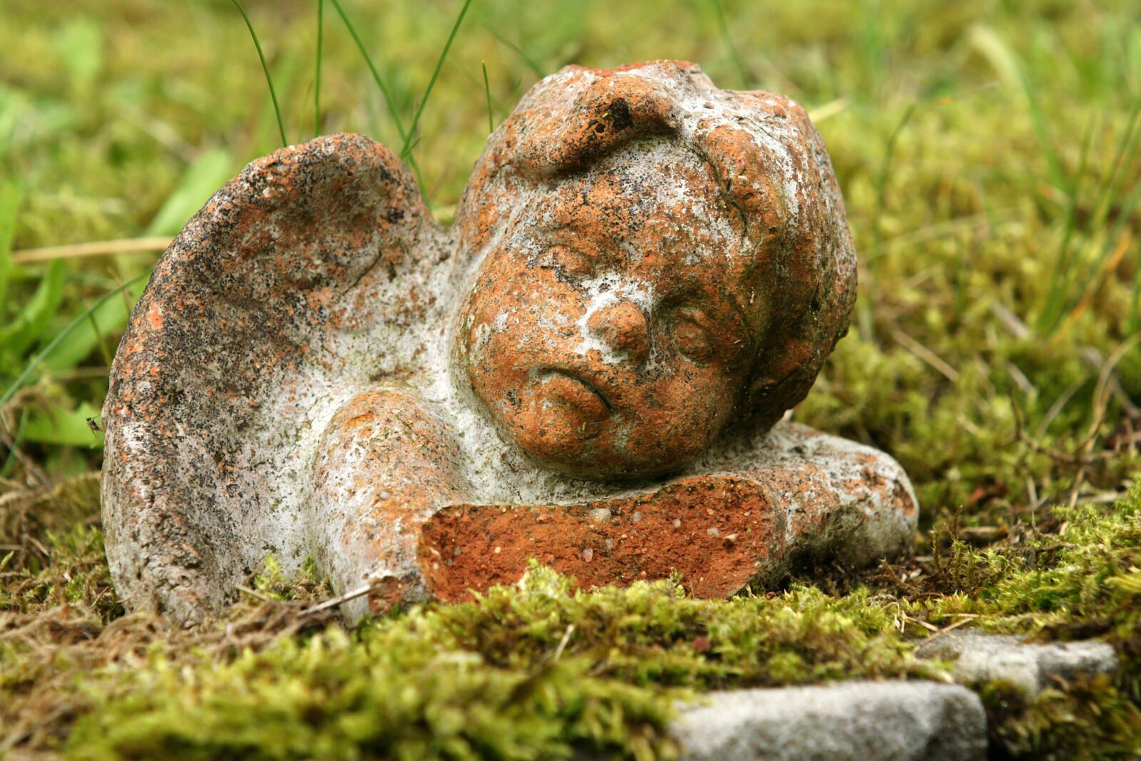 Sony Alpha DSLR-A700 sample photo. Angel, angel face, decoration photography