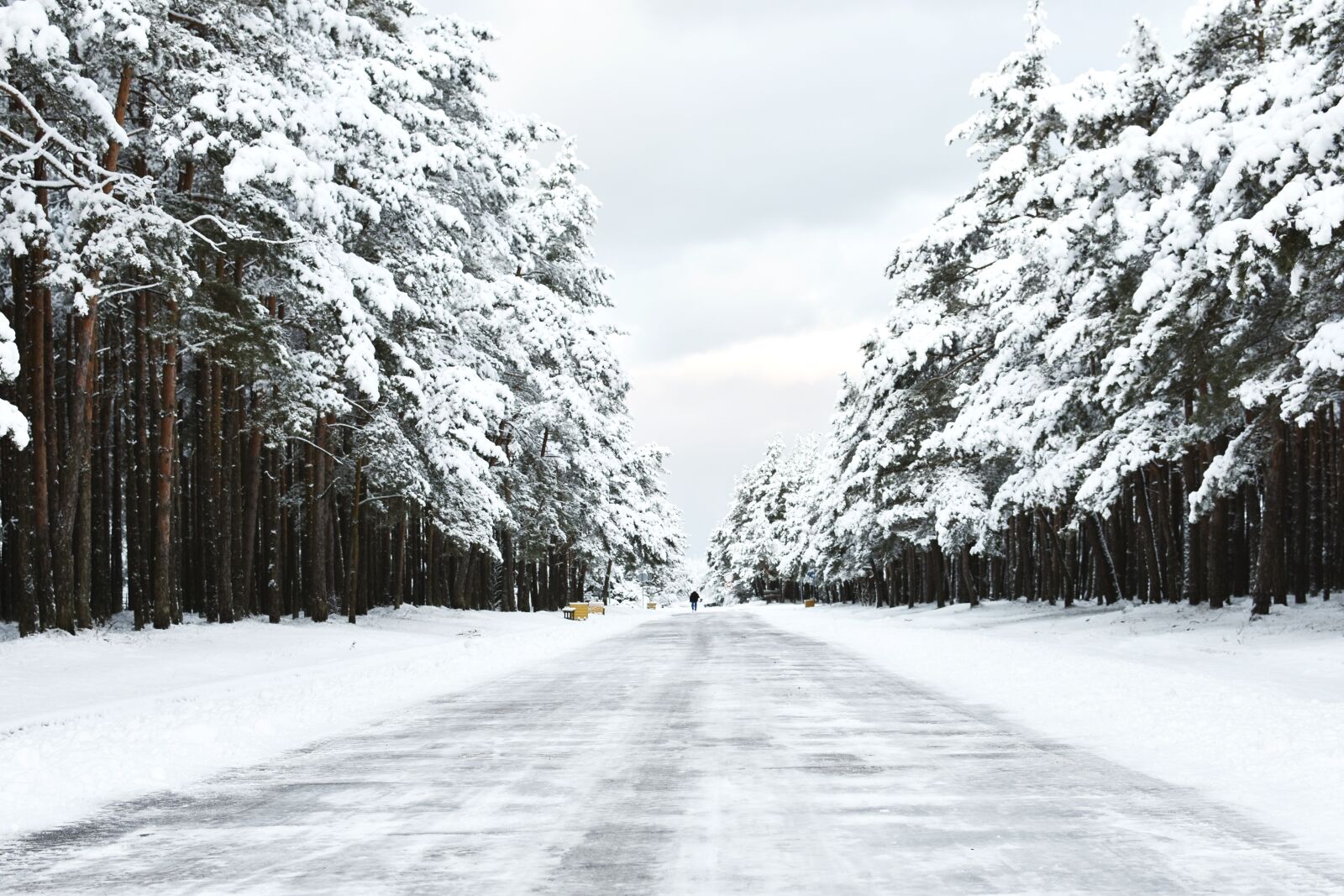 Nikon D7200 sample photo. Way, winter, snow landscape photography