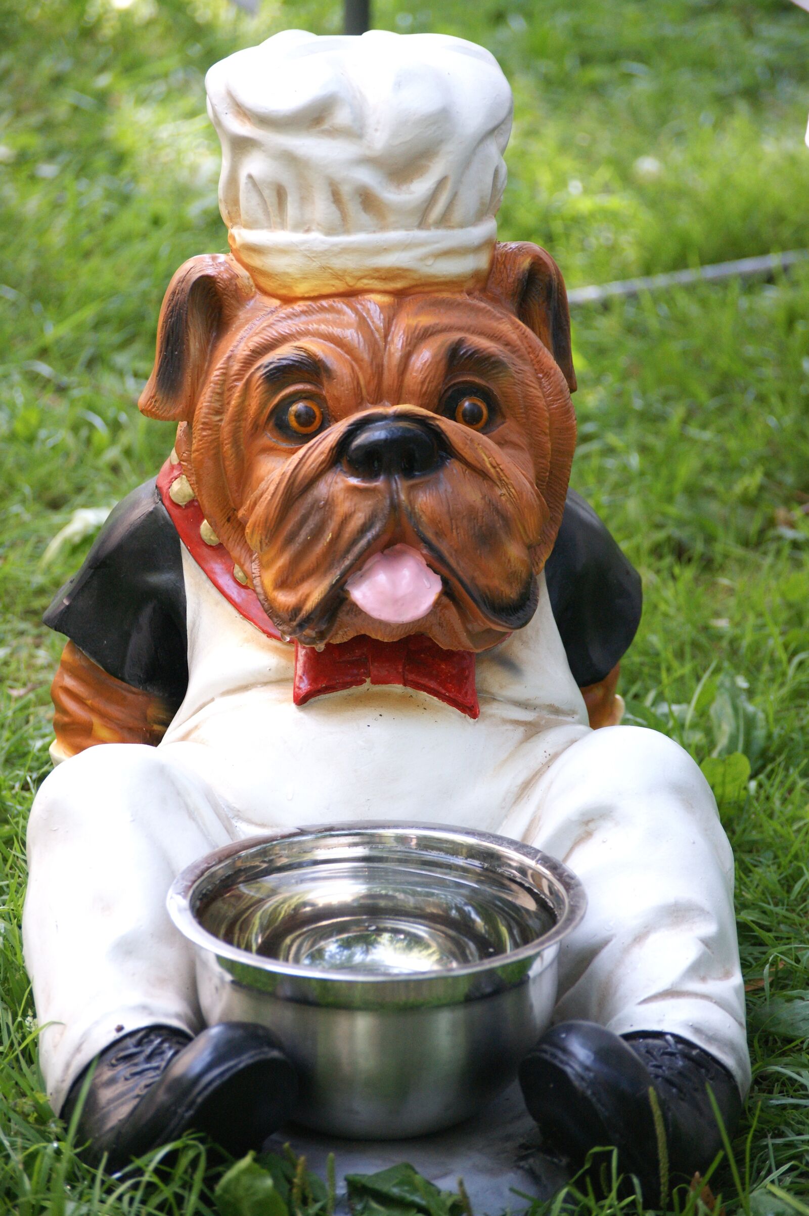 Sony Alpha DSLR-A350 sample photo. Dog bowl, dog, dog photography