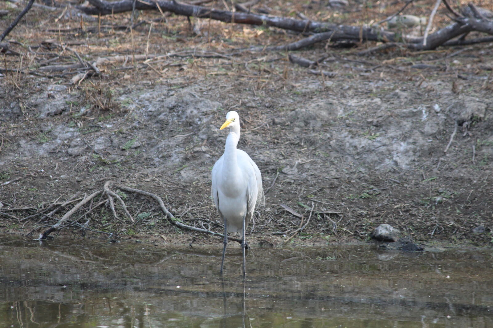 Canon EOS 700D (EOS Rebel T5i / EOS Kiss X7i) sample photo