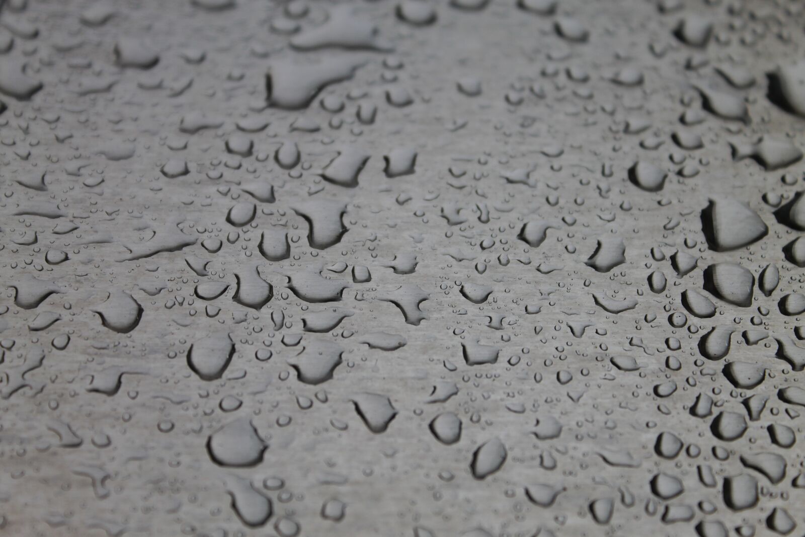 Canon EOS 1100D (EOS Rebel T3 / EOS Kiss X50) sample photo. Rain, drops, water photography