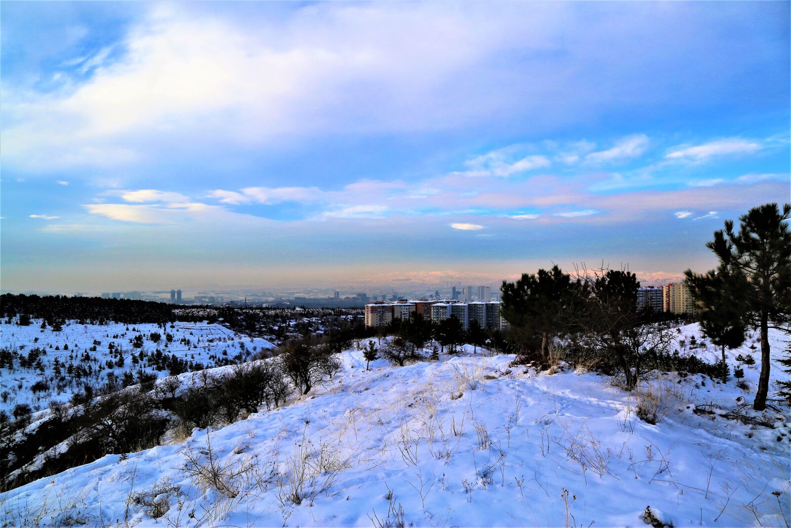 Canon EF 24-105mm F4L IS USM sample photo. Snow, winter, white photography