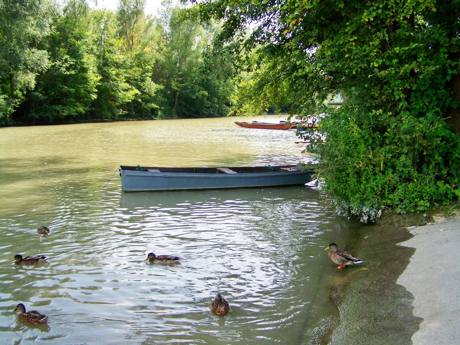 Kodak EASYSHARE ZD710 ZOOM DIGITAL CAMERA sample photo. Boat, river, nature photography