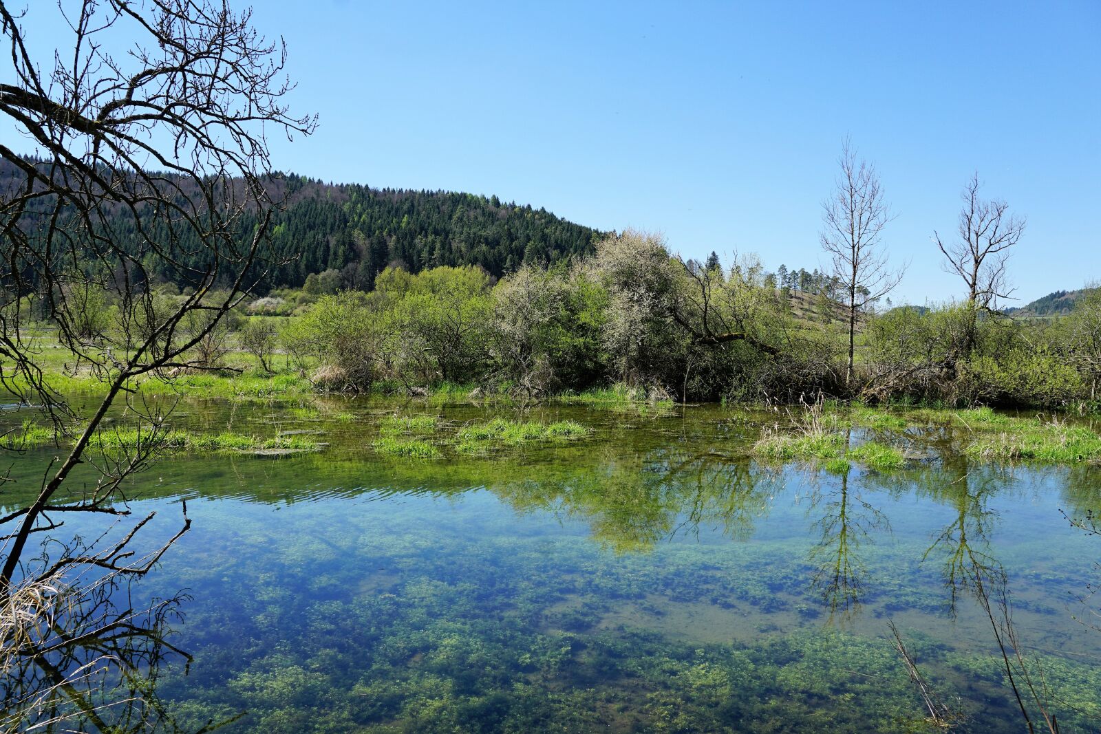 Sony ILCA-77M2 + Sony DT 16-50mm F2.8 SSM sample photo. Danube, river, germany photography