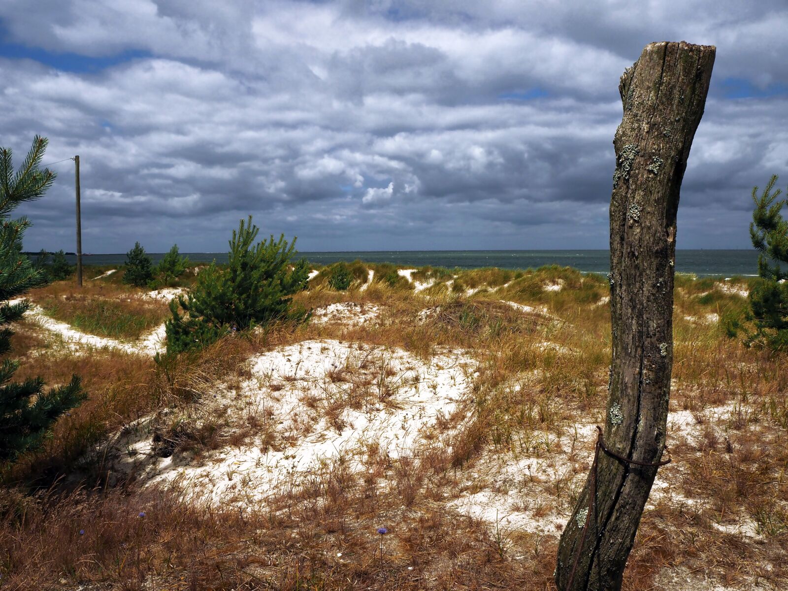 Olympus OM-D E-M10 sample photo. Prerow, baltic sea, mood photography