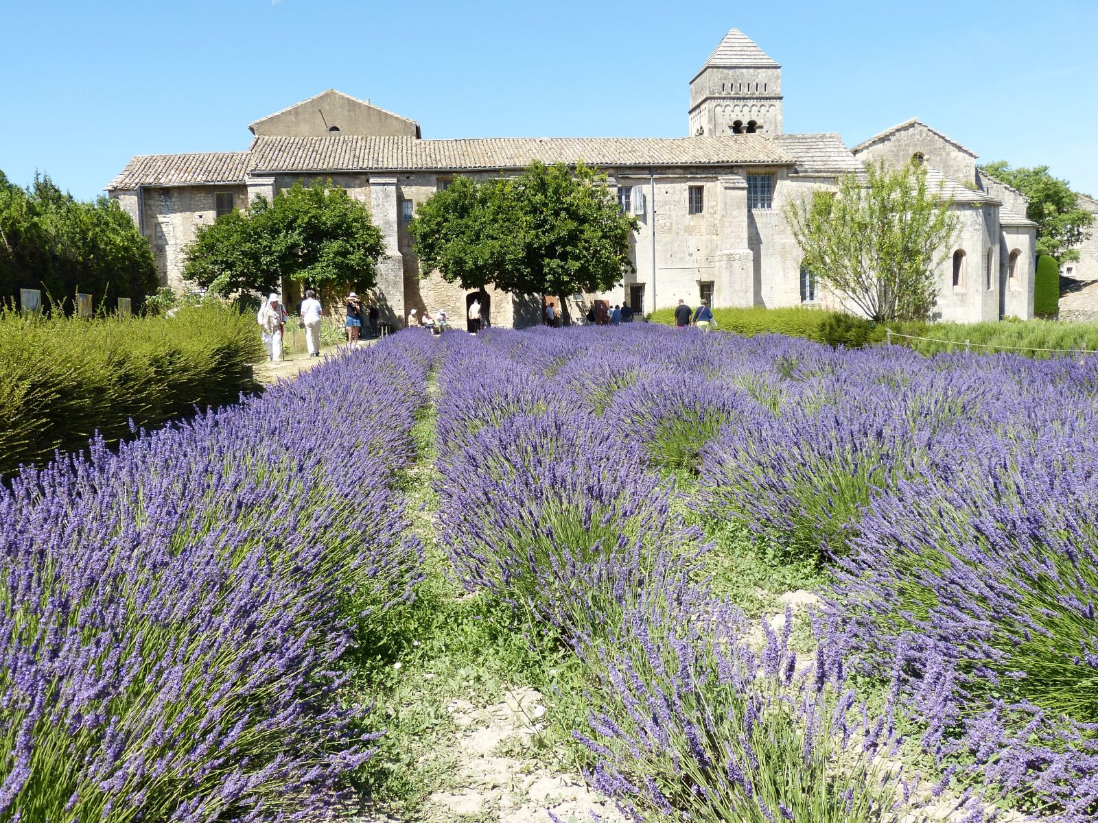 Panasonic Lumix DMC-FZ150 sample photo. France, st remy, provence photography