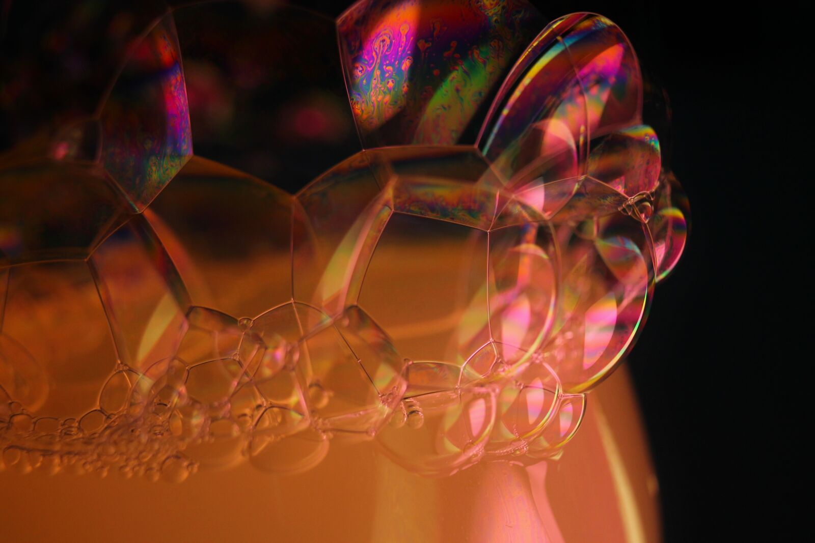 Canon EOS 1100D (EOS Rebel T3 / EOS Kiss X50) sample photo. Bubbles, blow, soap bubble photography
