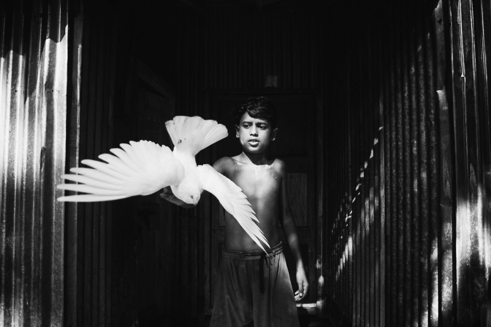 Nikon D610 sample photo. Pigeon, blackandwhite, blackandwhitephotography photography
