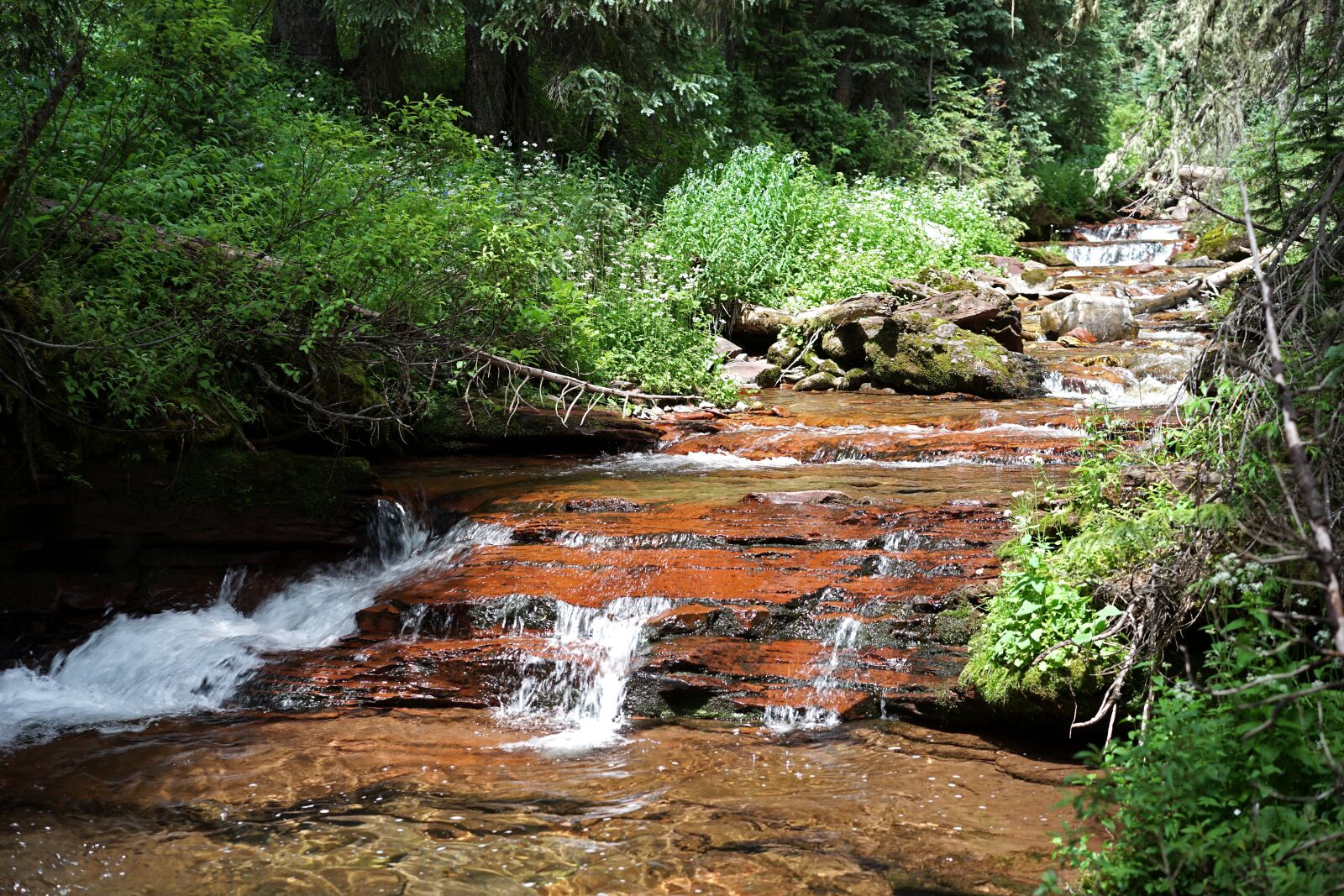 Sony a7 II + Sony Sonnar T* FE 55mm F1.8 ZA sample photo. Stream, creek, mountain stream photography