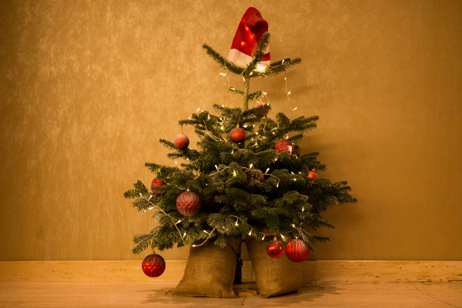 Canon EOS 70D sample photo. Christmas, tree, decoration photography