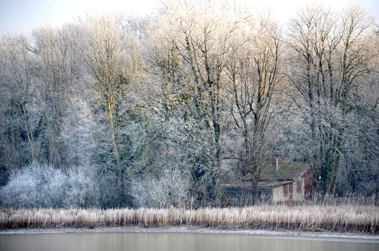 Nikon D5100 sample photo. Winter, landscape, cold photography