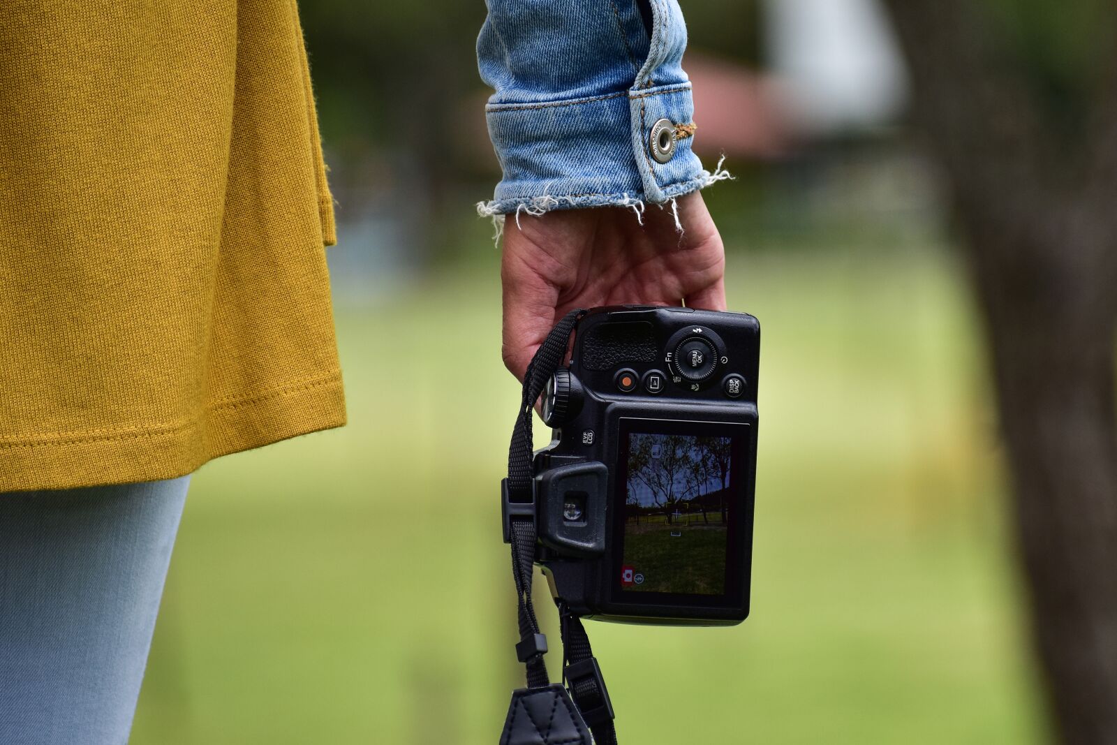 Nikon D3400 sample photo. Camera, foreground, photo photography