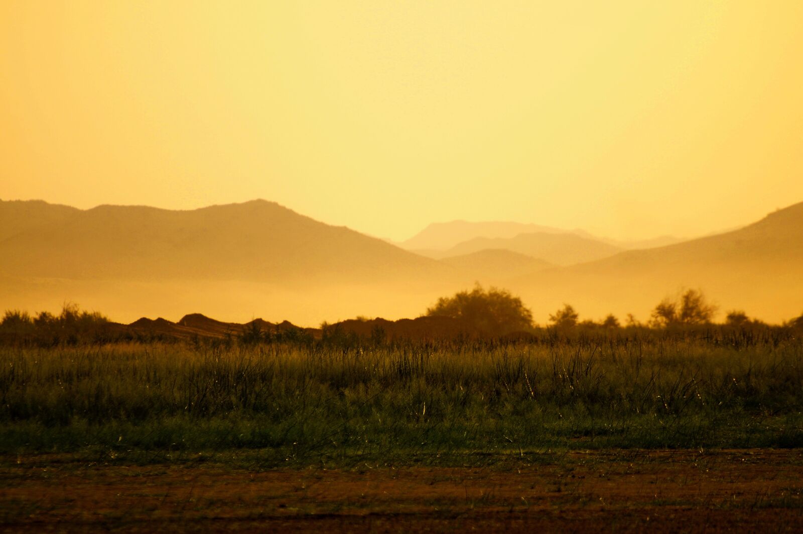 Nikon D300S sample photo. Great prints philippines, george photography