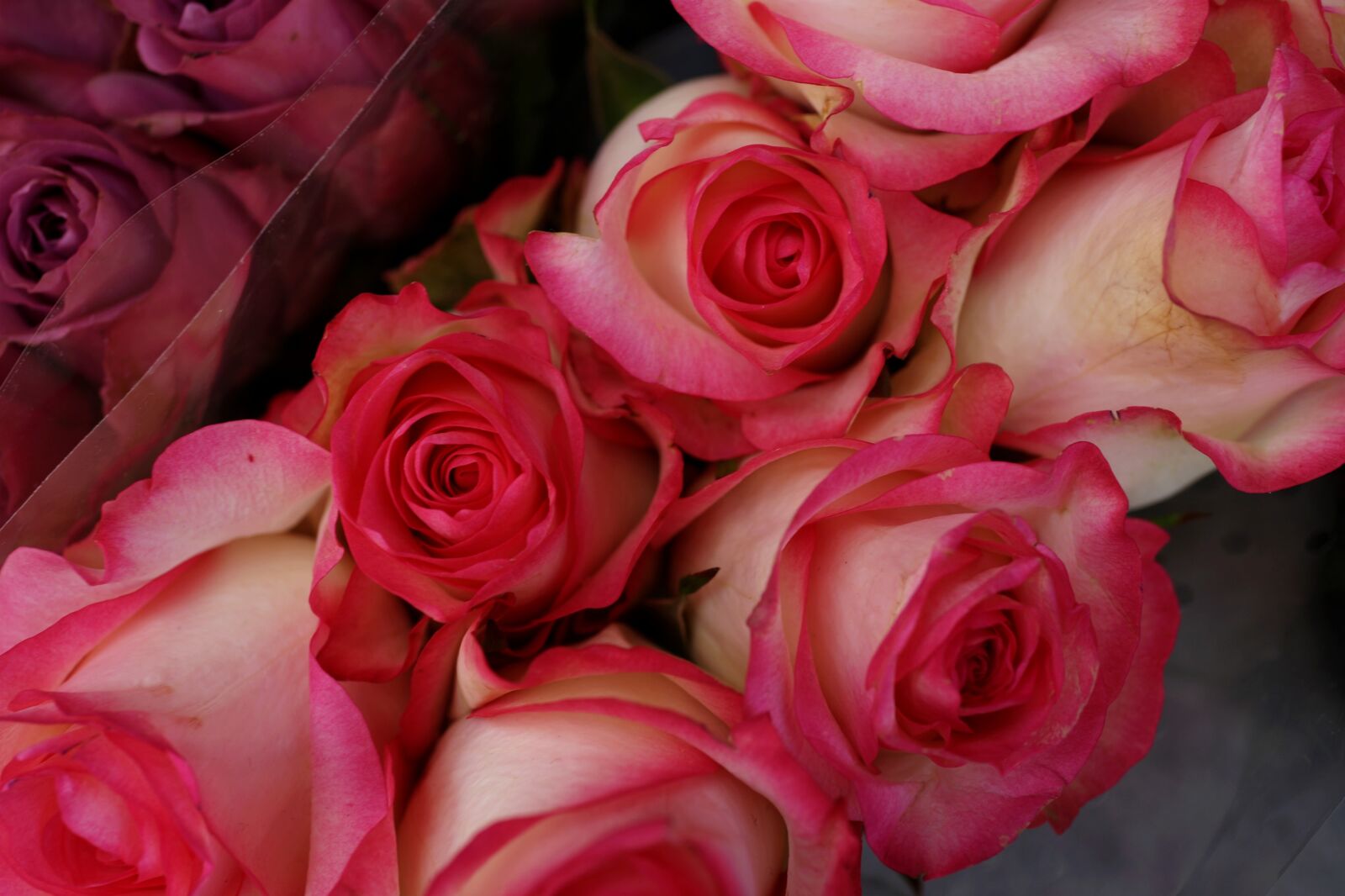 Sony Cyber-shot DSC-RX1R sample photo. Red roses, florist, gifts photography