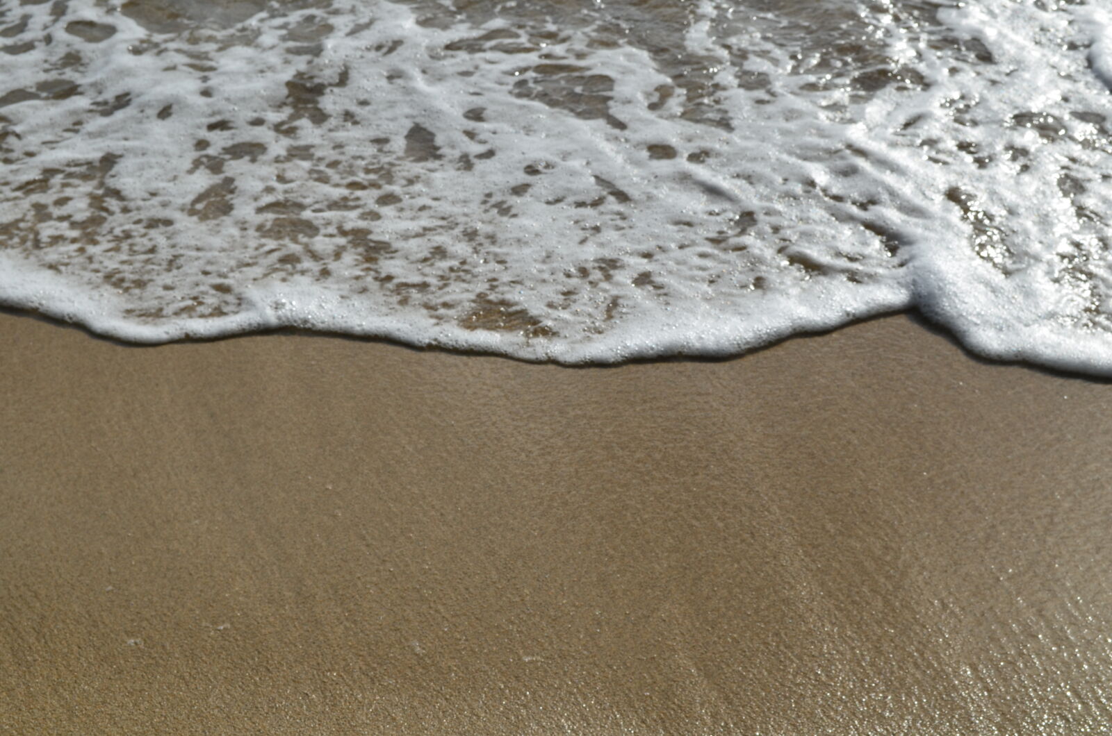 Nikon D5100 sample photo. Anse, figuier, beach, martinique photography