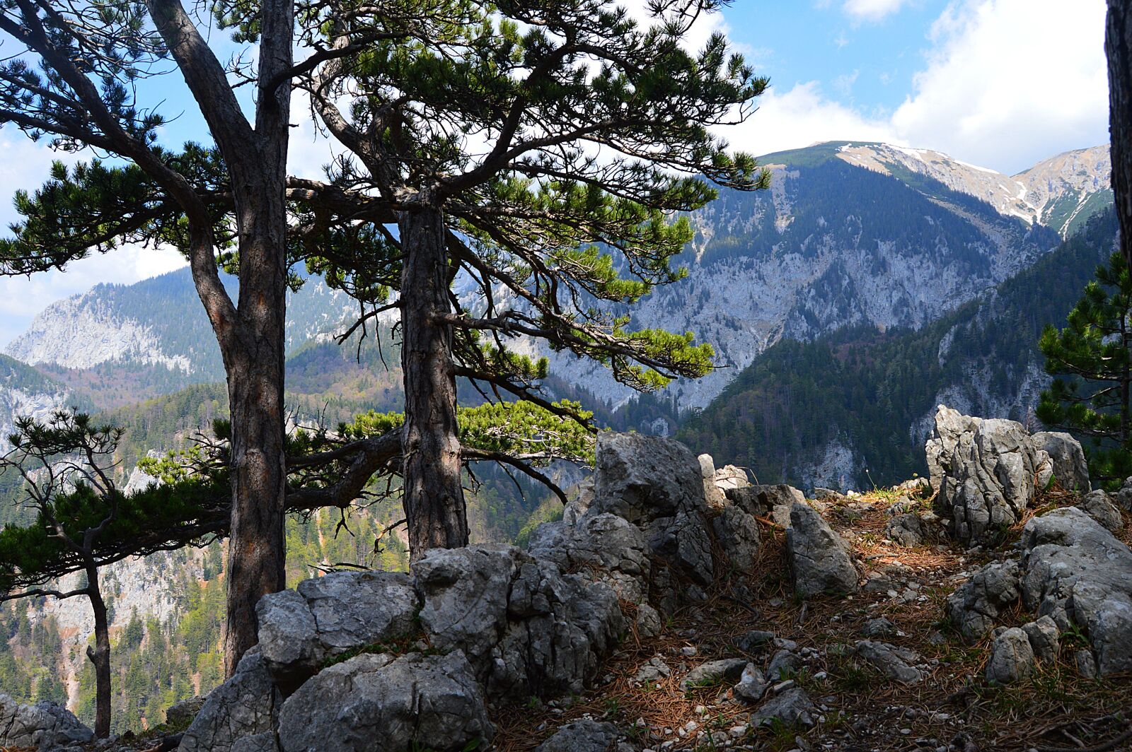 Nikon D3200 sample photo. Snow mountain, rax, lower photography