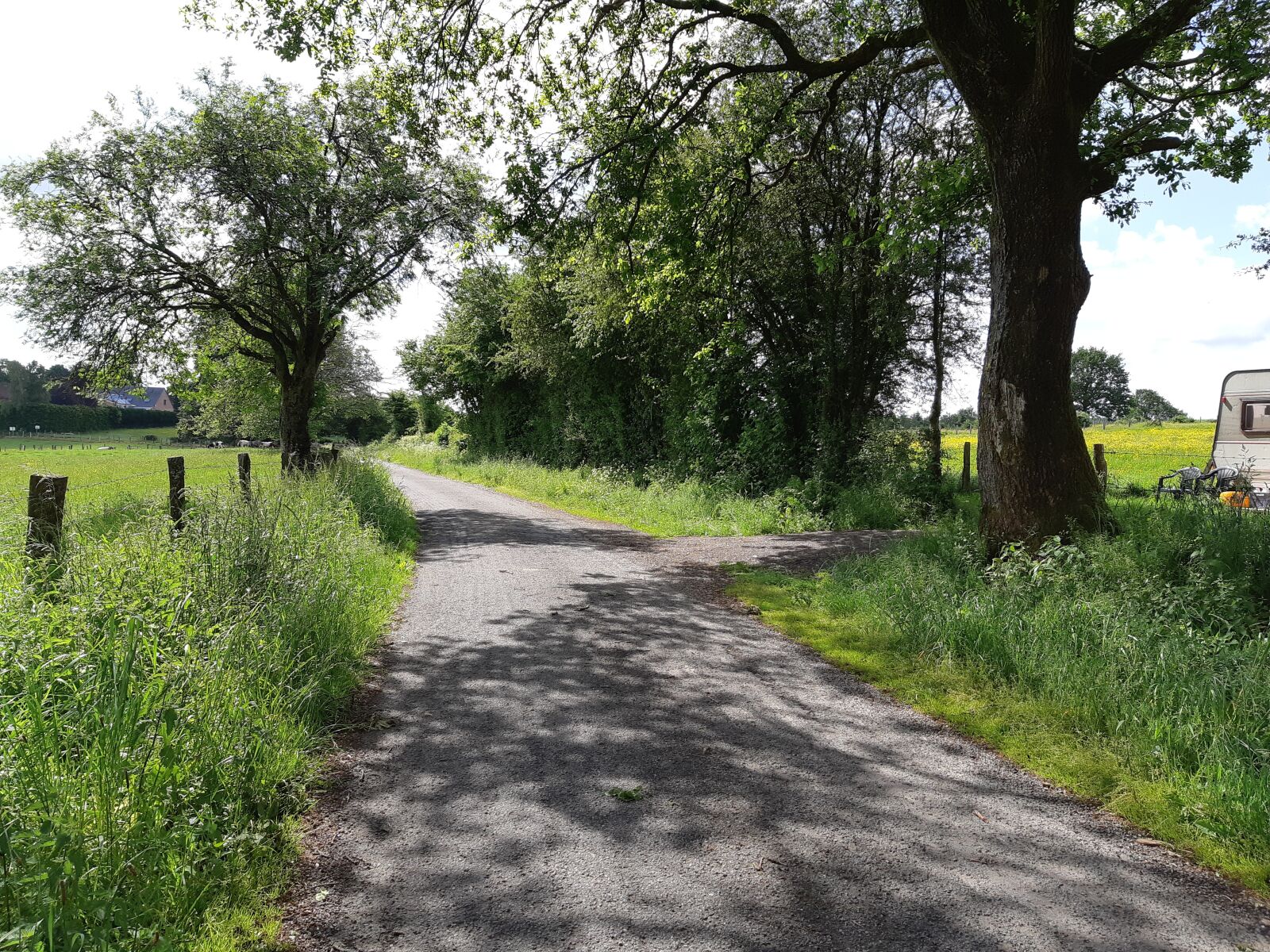 Samsung Galaxy A8(2018) sample photo. Forest, road, nature photography