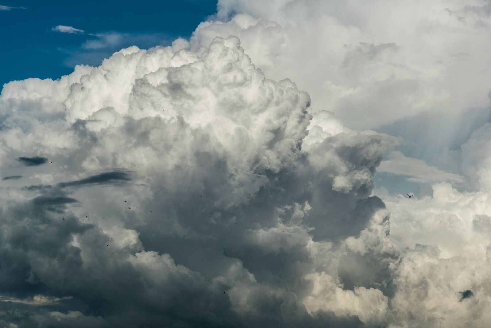 Nikon D5300 sample photo. Clouds, cloudporn, weather photography