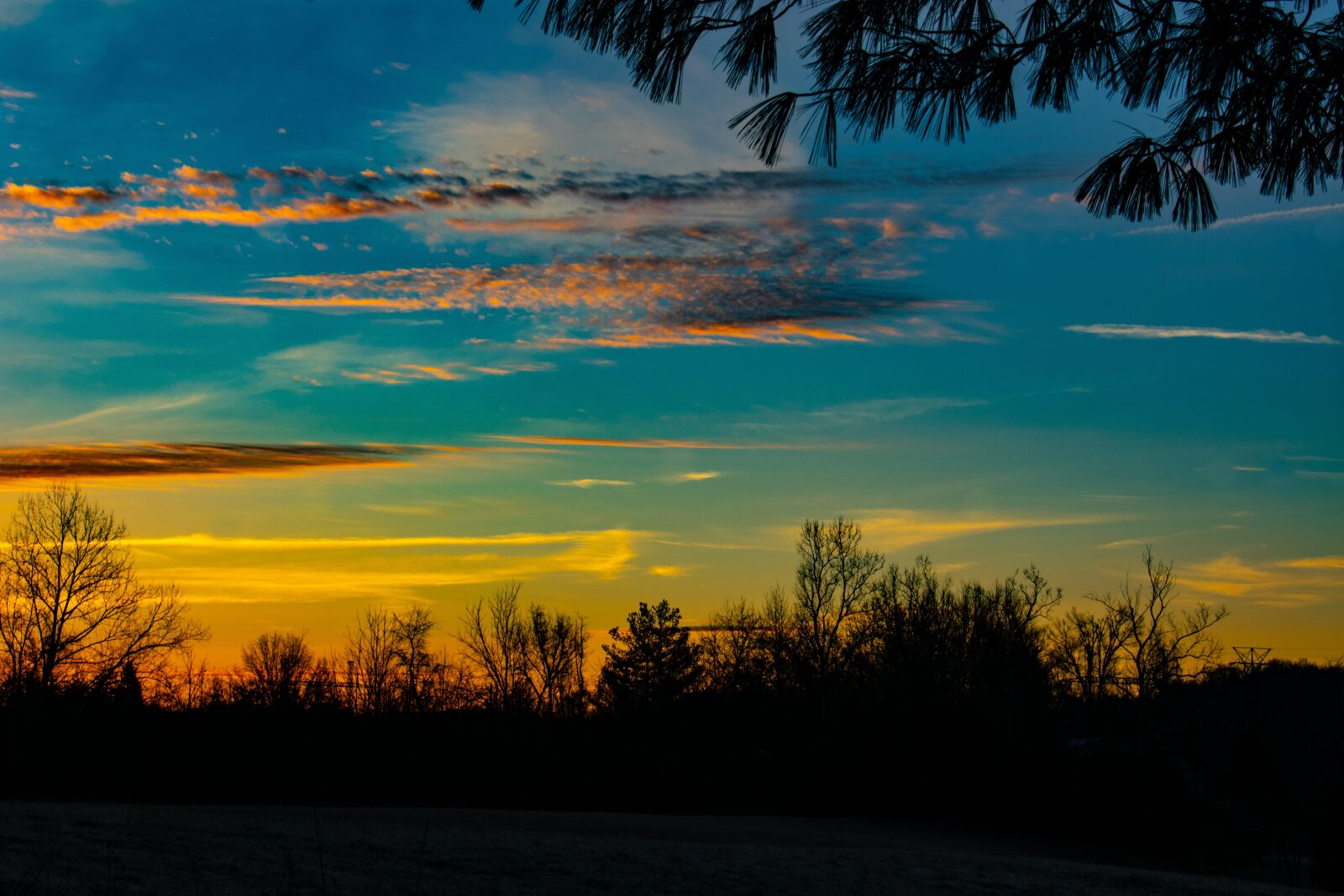 Nikon D3400 sample photo. Sunrise, colorful, bright photography