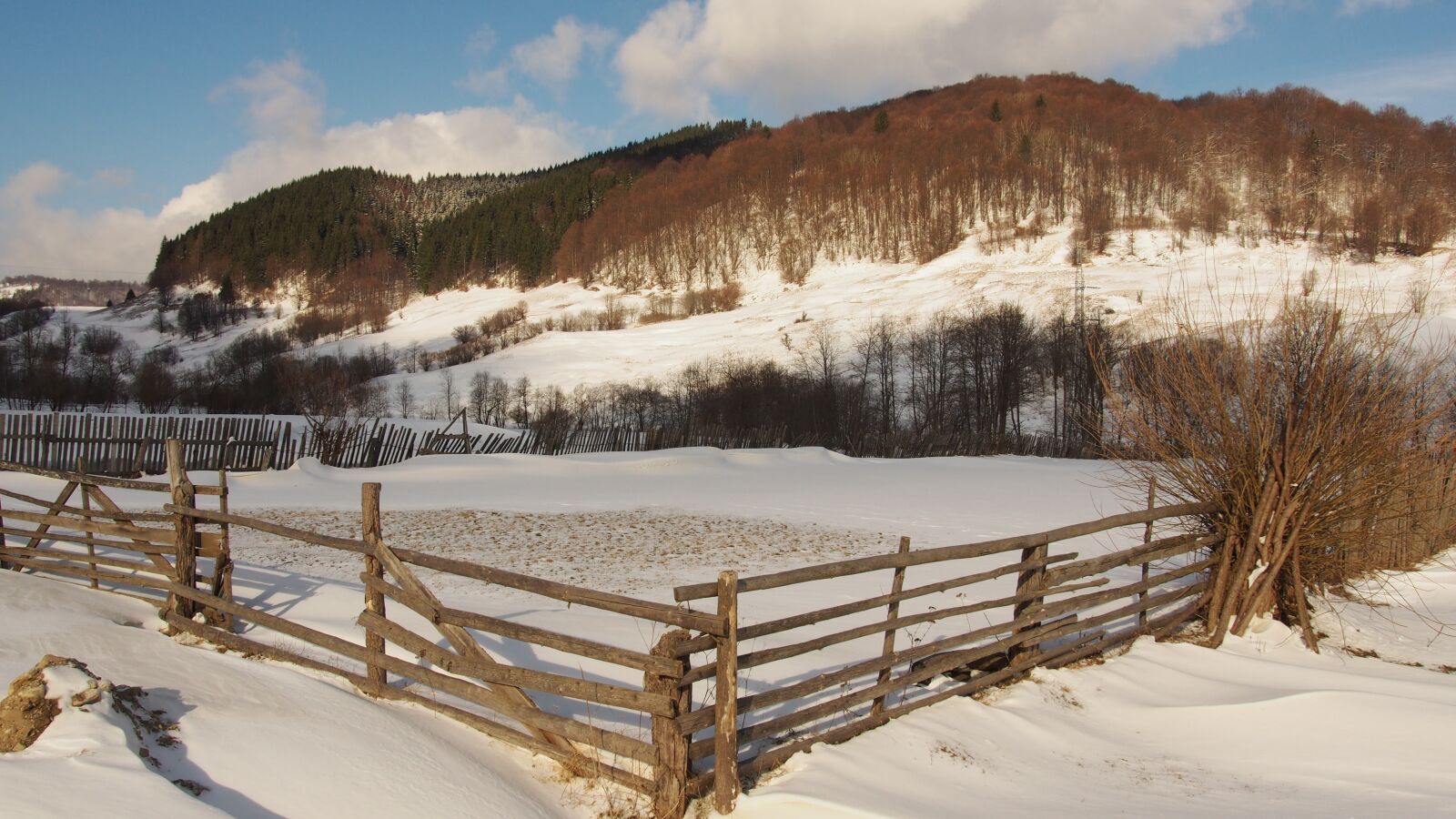 Olympus PEN E-PM2 sample photo. Wooden fence, snow, winter photography
