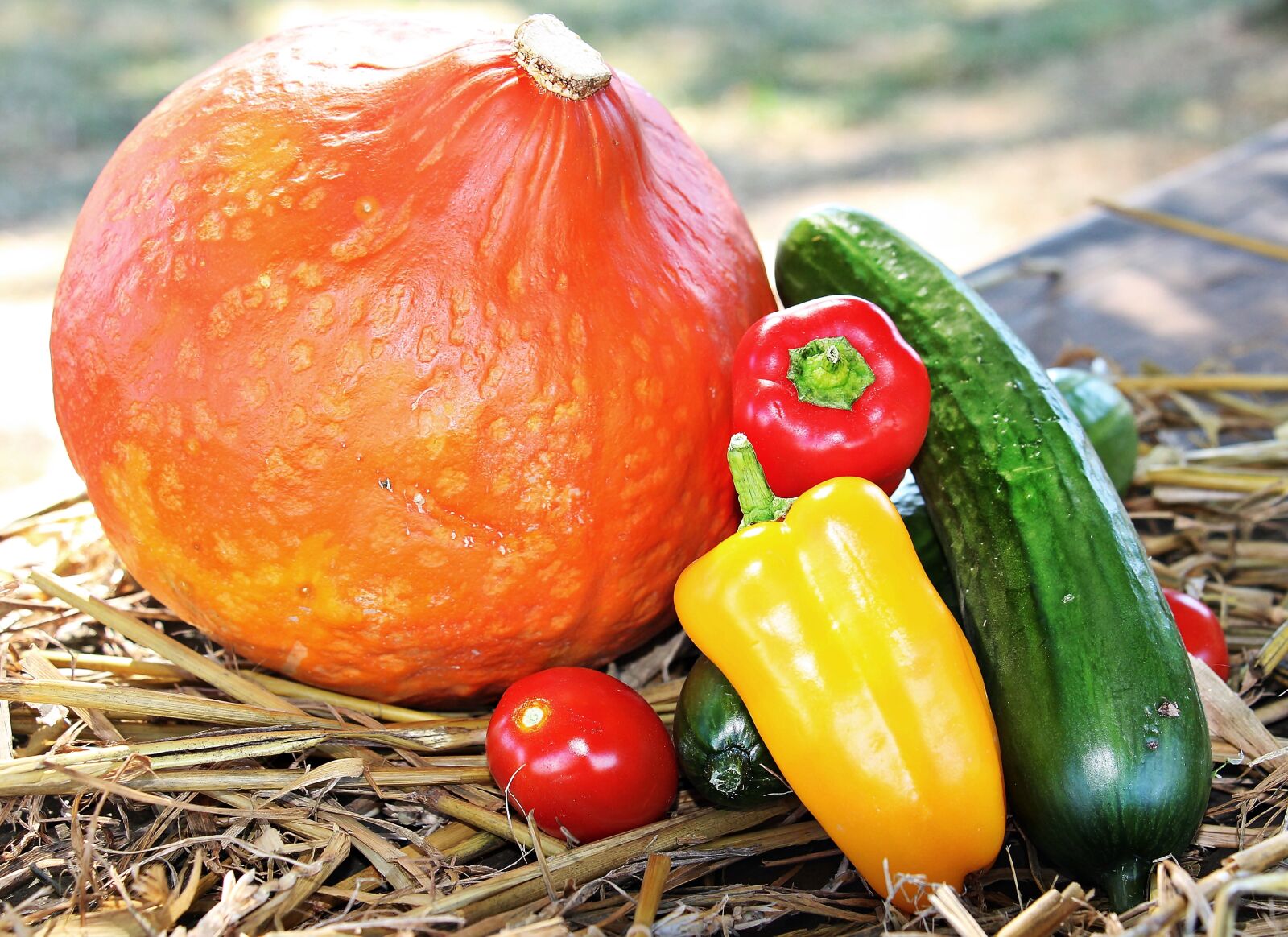 Canon EOS 550D (EOS Rebel T2i / EOS Kiss X4) sample photo. Thanksgiving, pumpkin, paprika photography