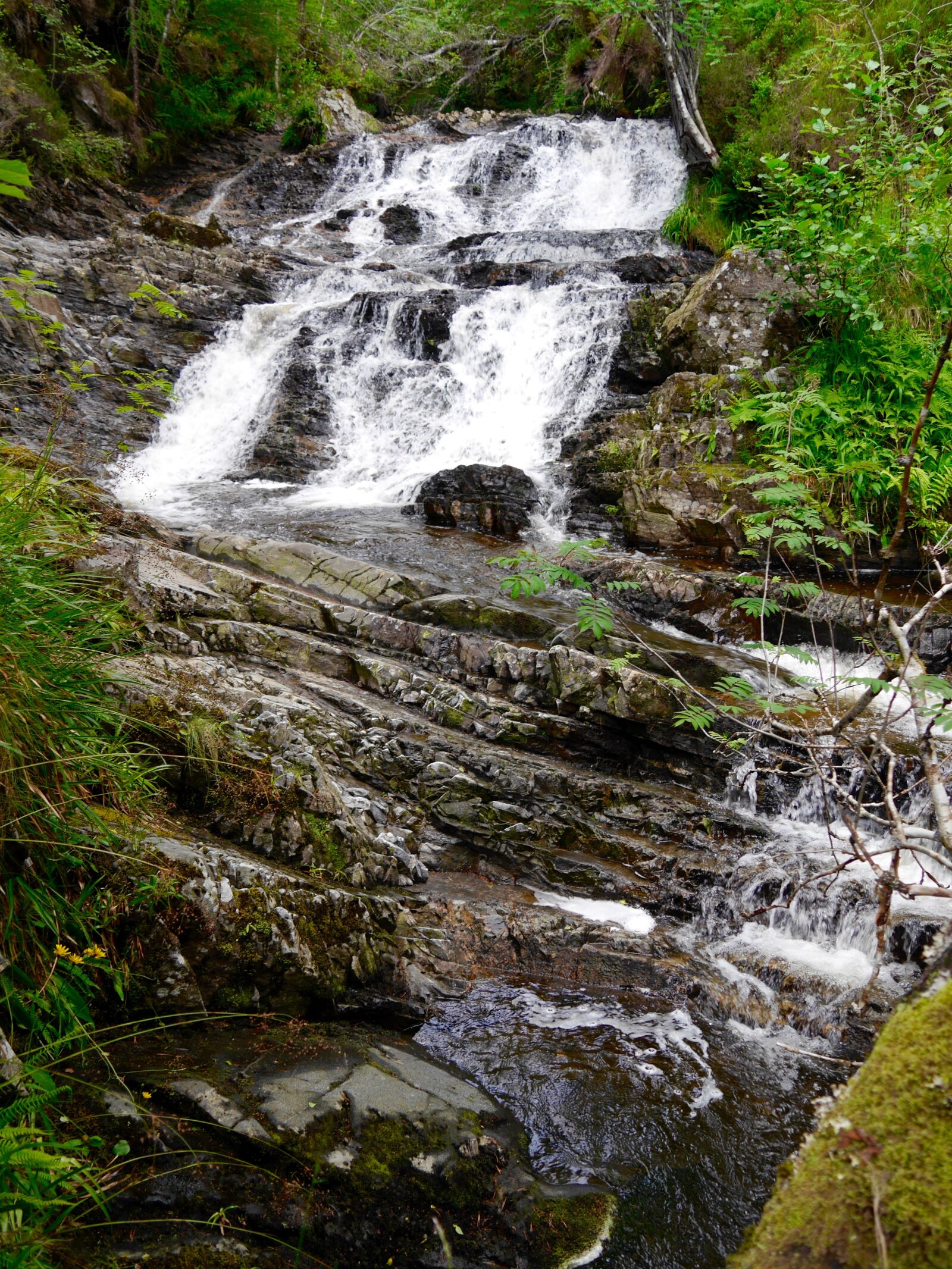 Panasonic Lumix DMC-G6 sample photo. Stream, water, forest photography