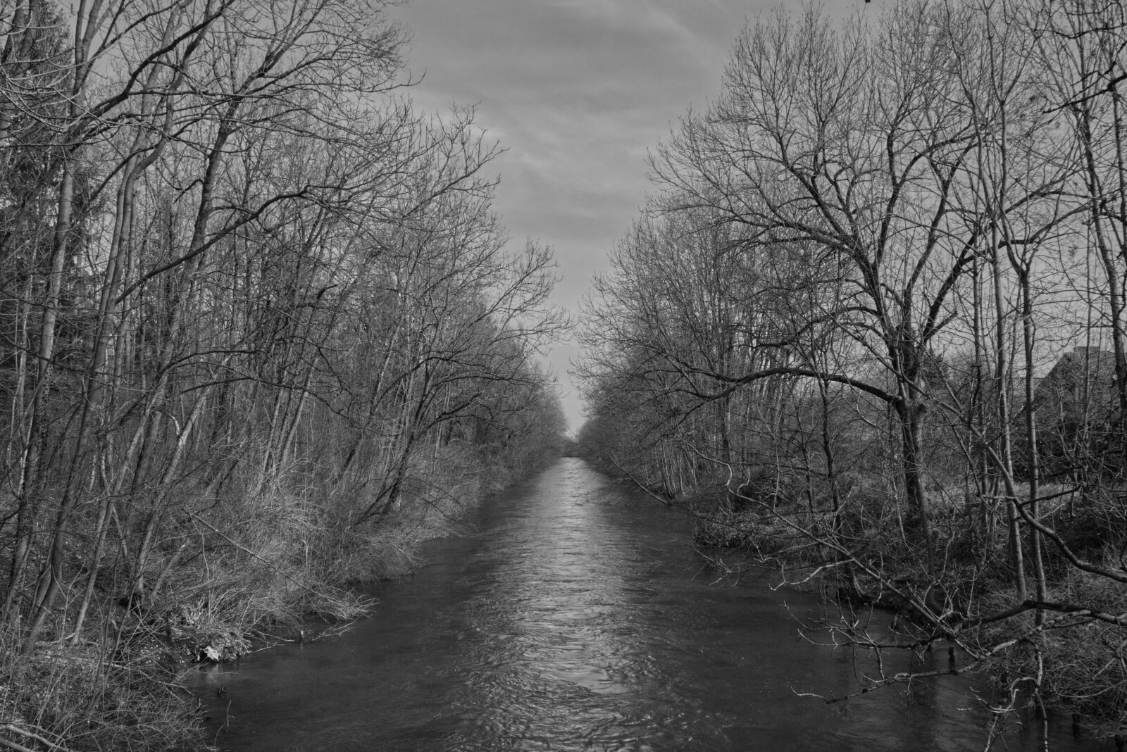 Canon EOS 800D (EOS Rebel T7i / EOS Kiss X9i) sample photo. Forest, river, water photography