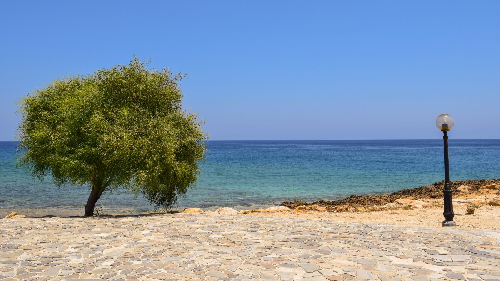 Nikon D3300 sample photo. Tree, lamp, sea photography