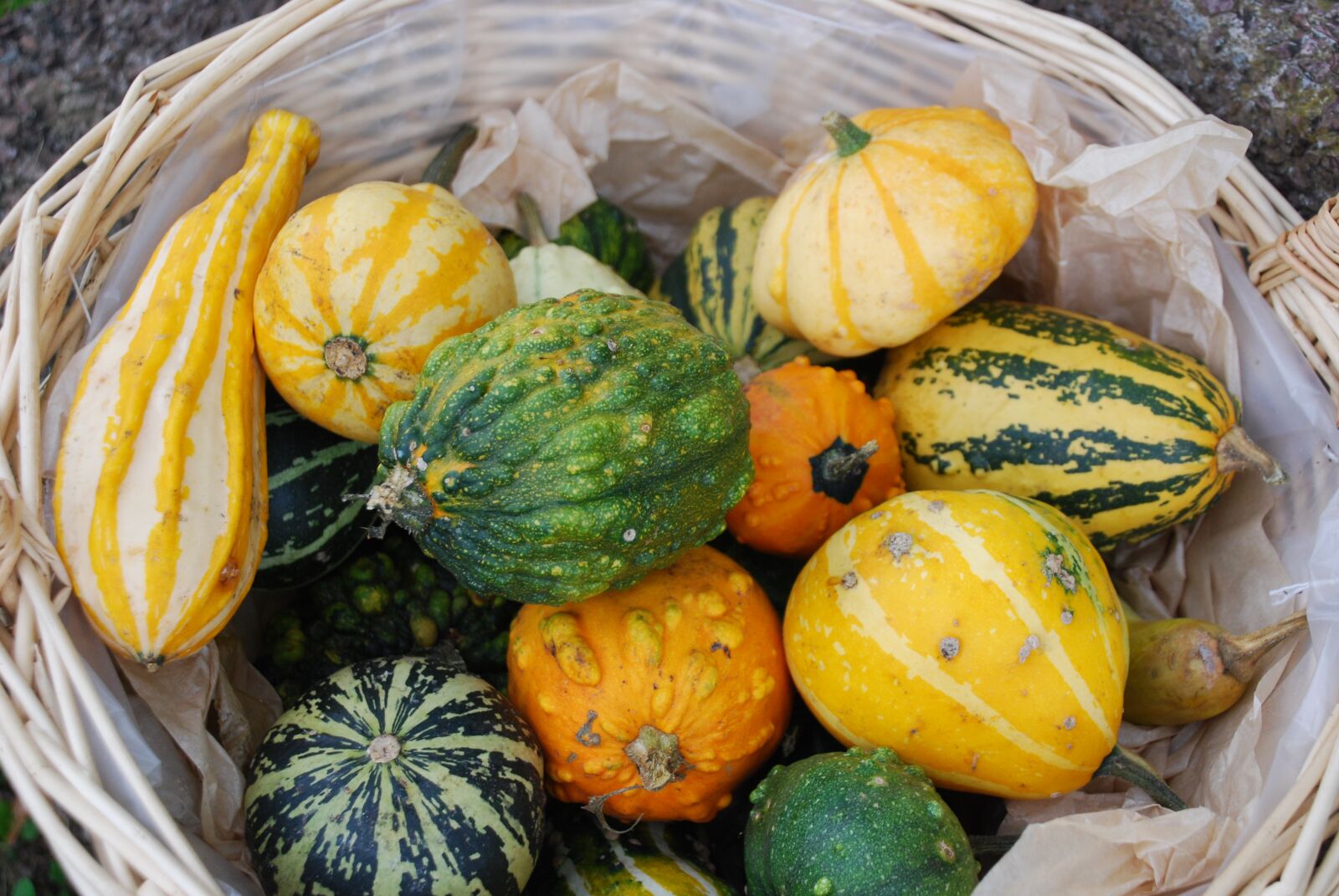Nikon D80 sample photo. Pumpkins, halloween, garden ornament photography