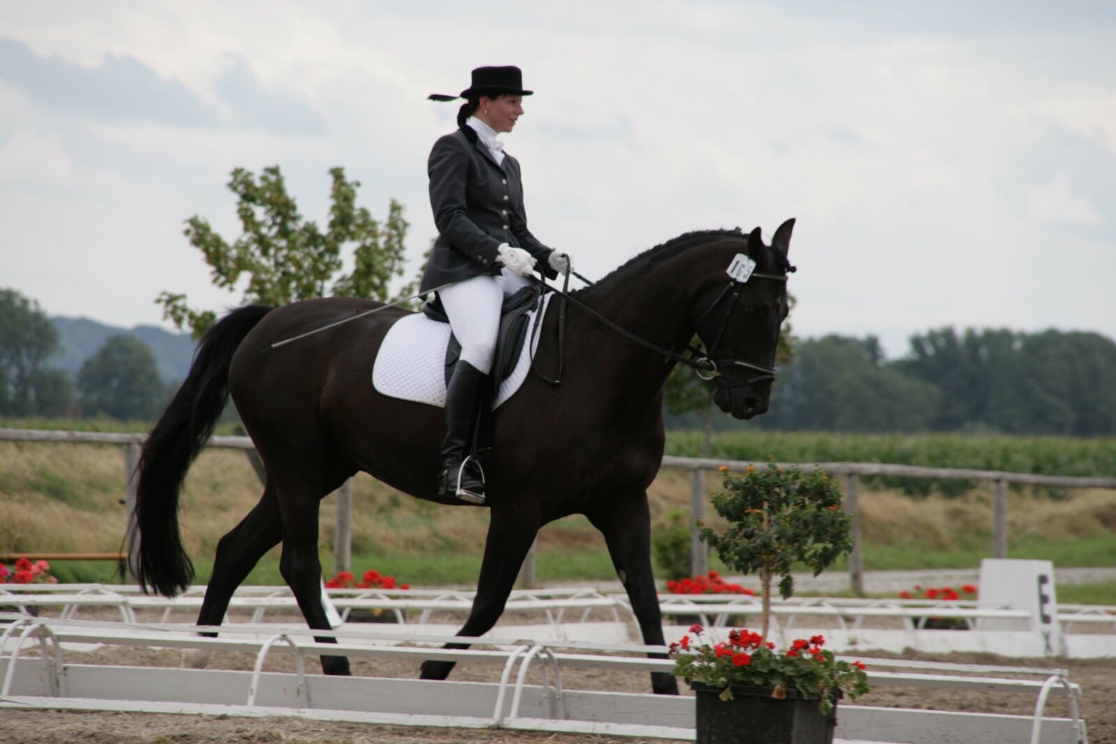 Canon EOS 30D sample photo. Horse, active, lifestyle photography