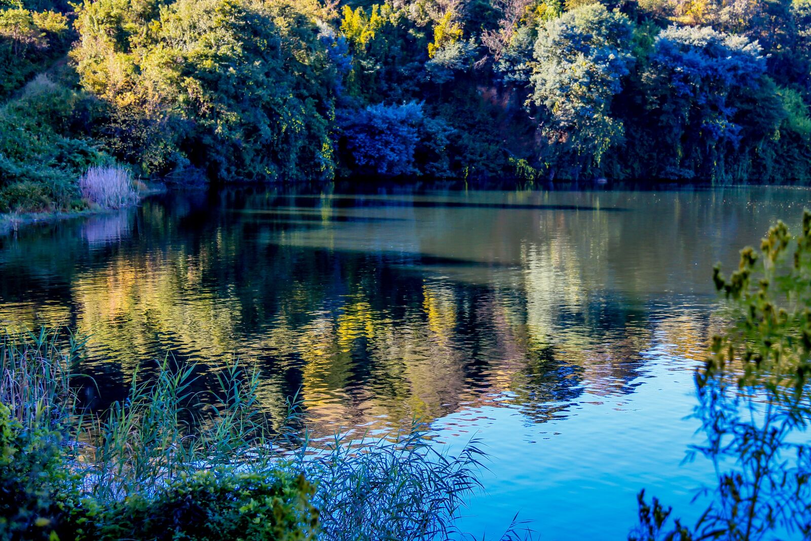 Canon EF-S 18-200mm F3.5-5.6 IS sample photo. Nature, lake, reflection photography