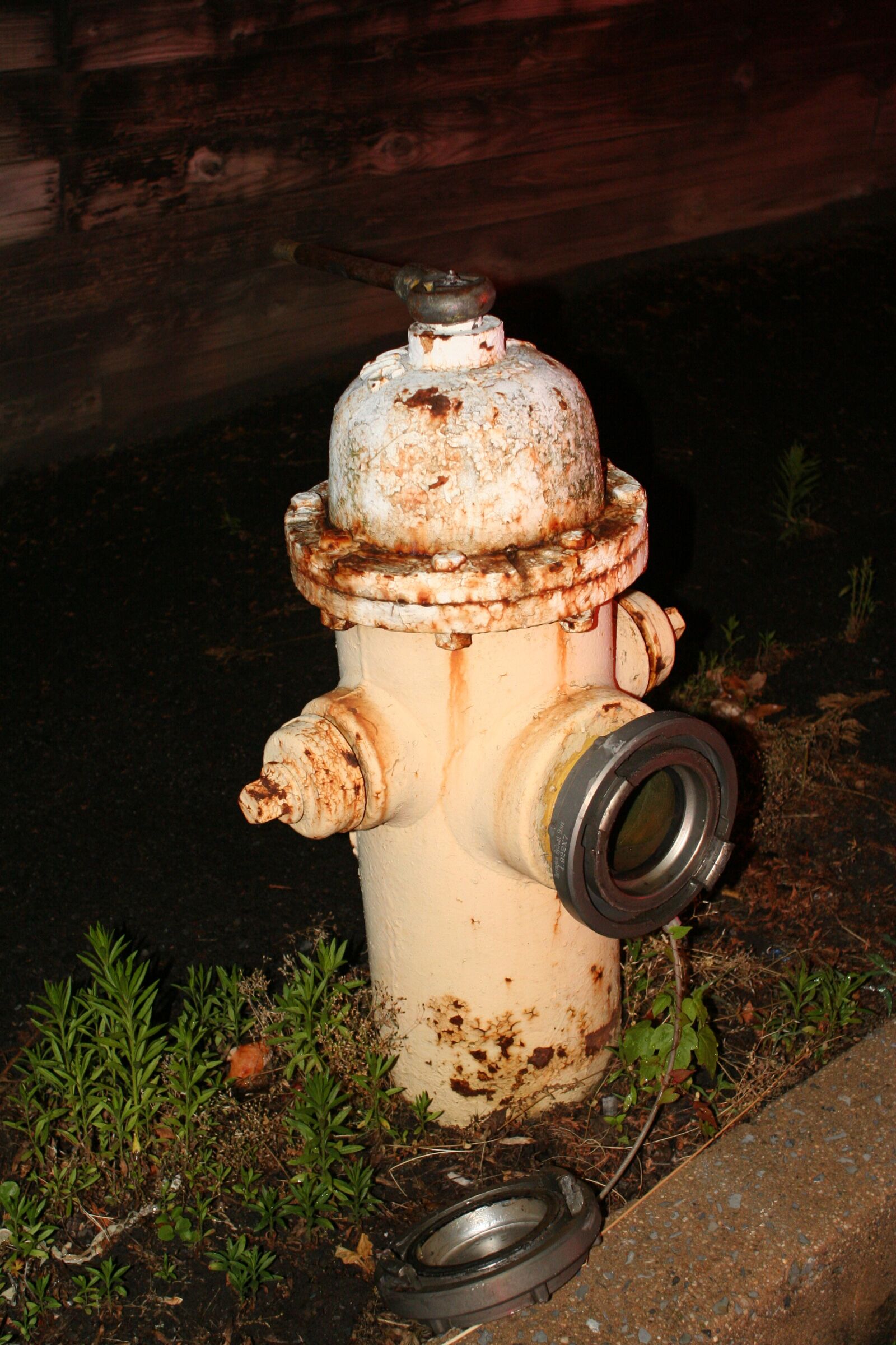 Canon EOS 350D (EOS Digital Rebel XT / EOS Kiss Digital N) sample photo. Fire, hydrant, tap photography
