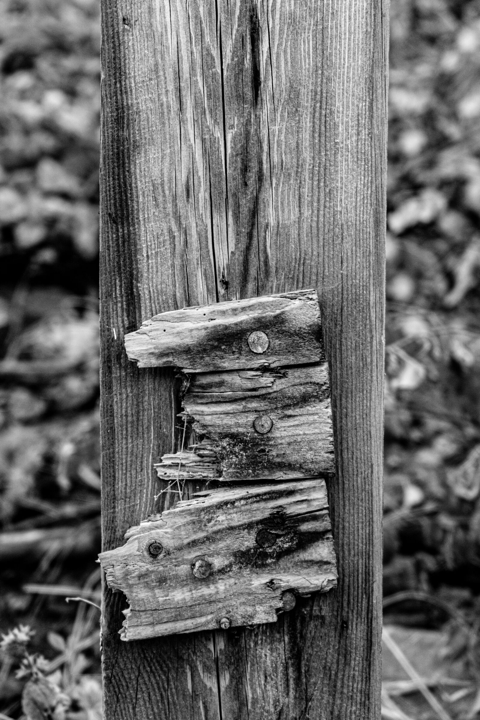 Sony a7R II sample photo. Wood, post, fence photography