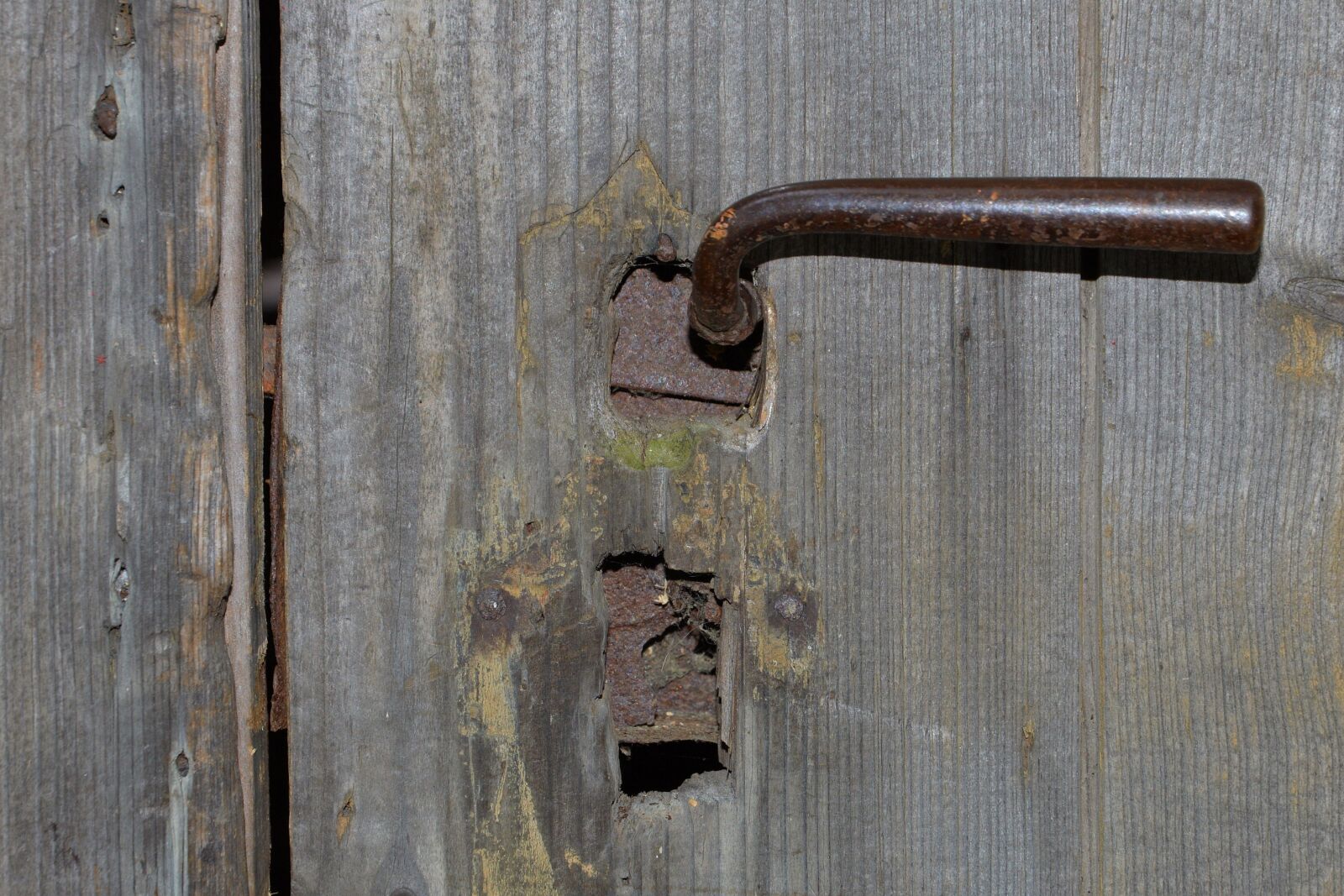 Nikon D3200 sample photo. Door, castle, door handle photography