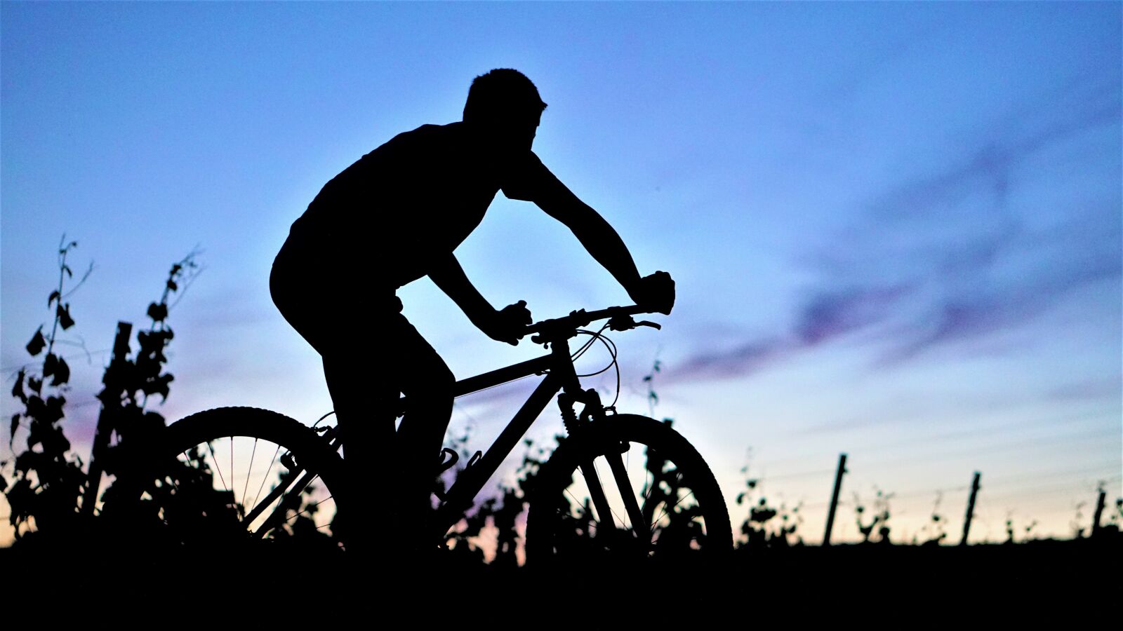 E 50mm F1.8 OSS sample photo. Sport, silhouette, bike photography