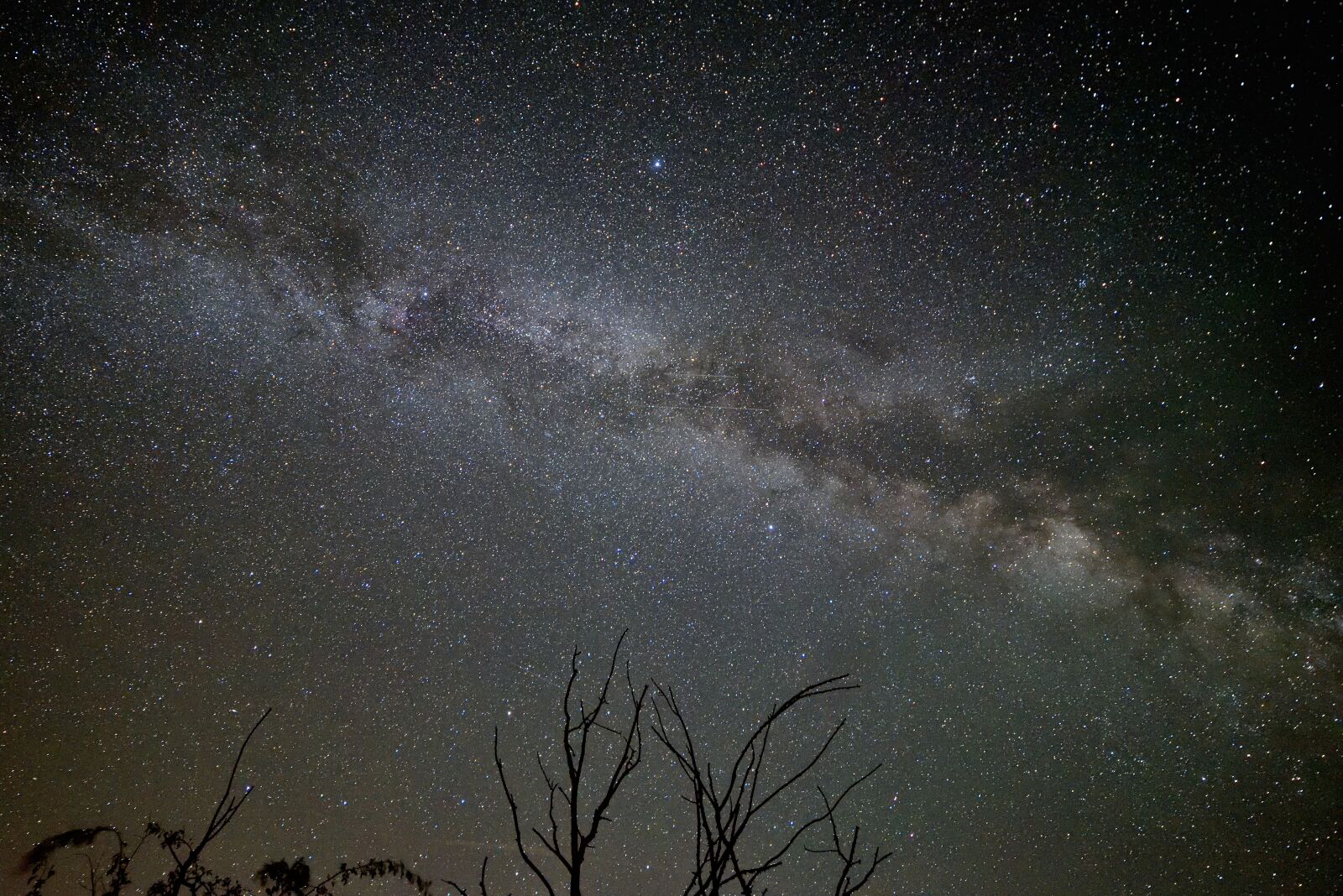 Nikon D750 sample photo. Milky way, starry sky photography