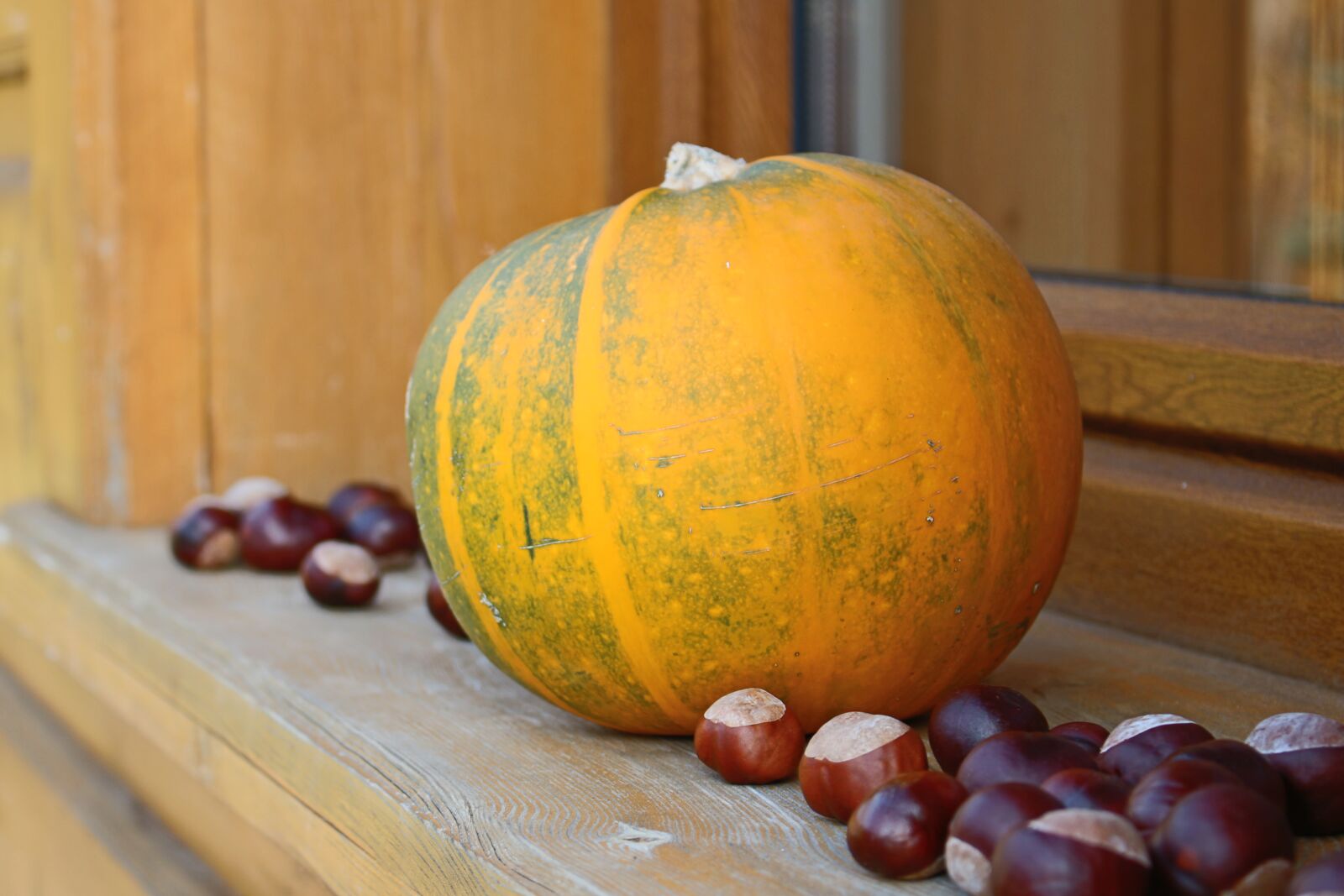 Canon EOS 100D (EOS Rebel SL1 / EOS Kiss X7) sample photo. Pumpkin, chestnuts photography
