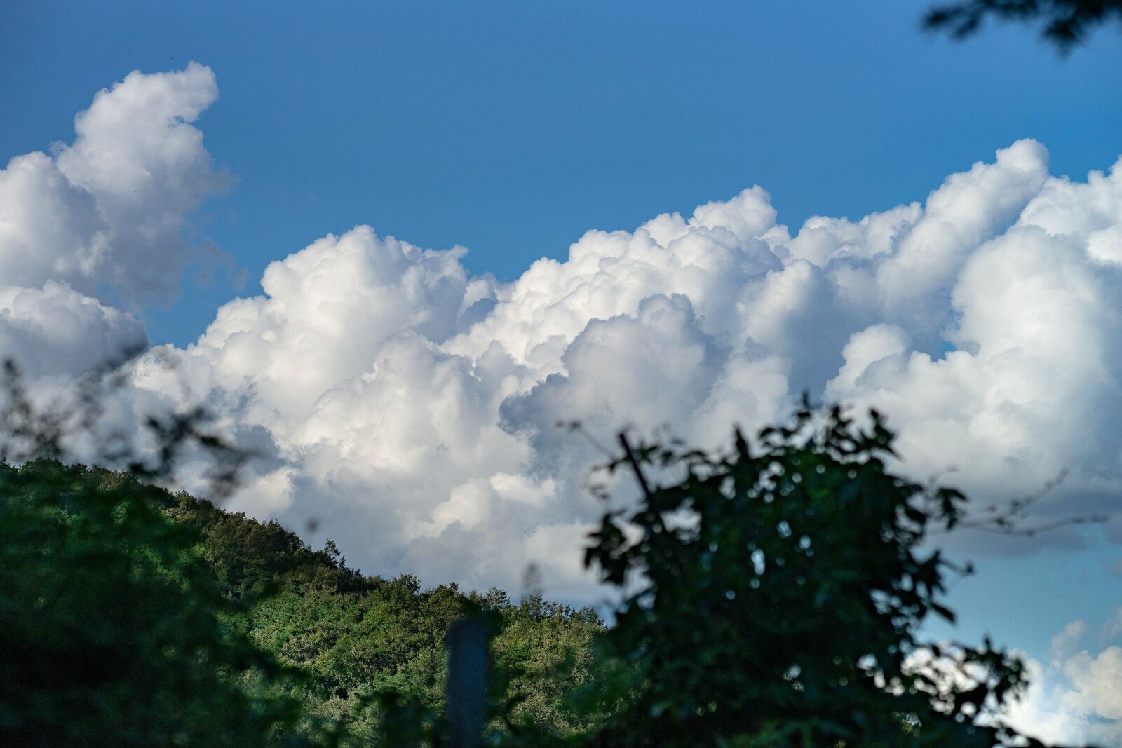 Sony a99 II + Sony Sonnar T* 135mm F1.8 ZA sample photo. Cloud, summer, sky photography
