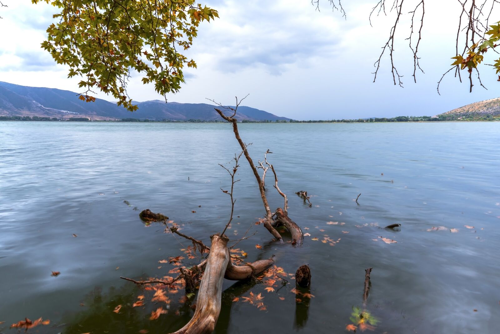 Tamron SP 24-70mm F2.8 Di VC USD sample photo. Lake, tree, fallen photography