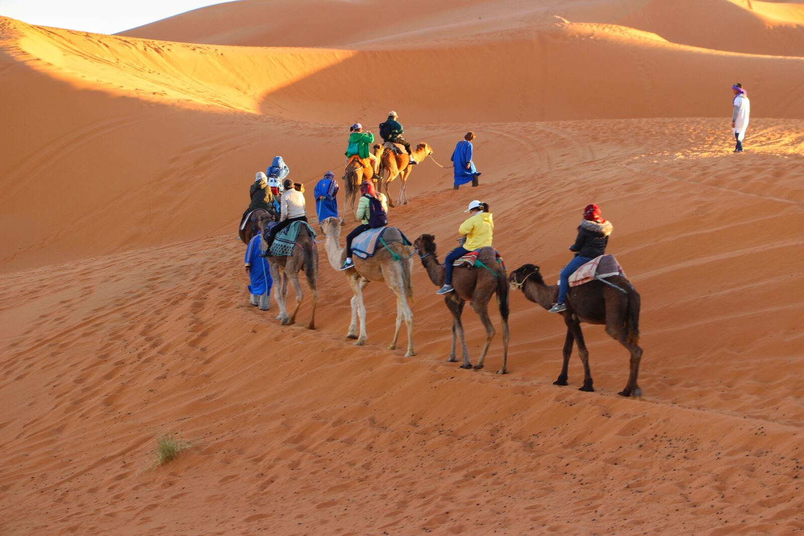 Canon EOS 100D (EOS Rebel SL1 / EOS Kiss X7) sample photo. Caravan, camel riding, trip photography
