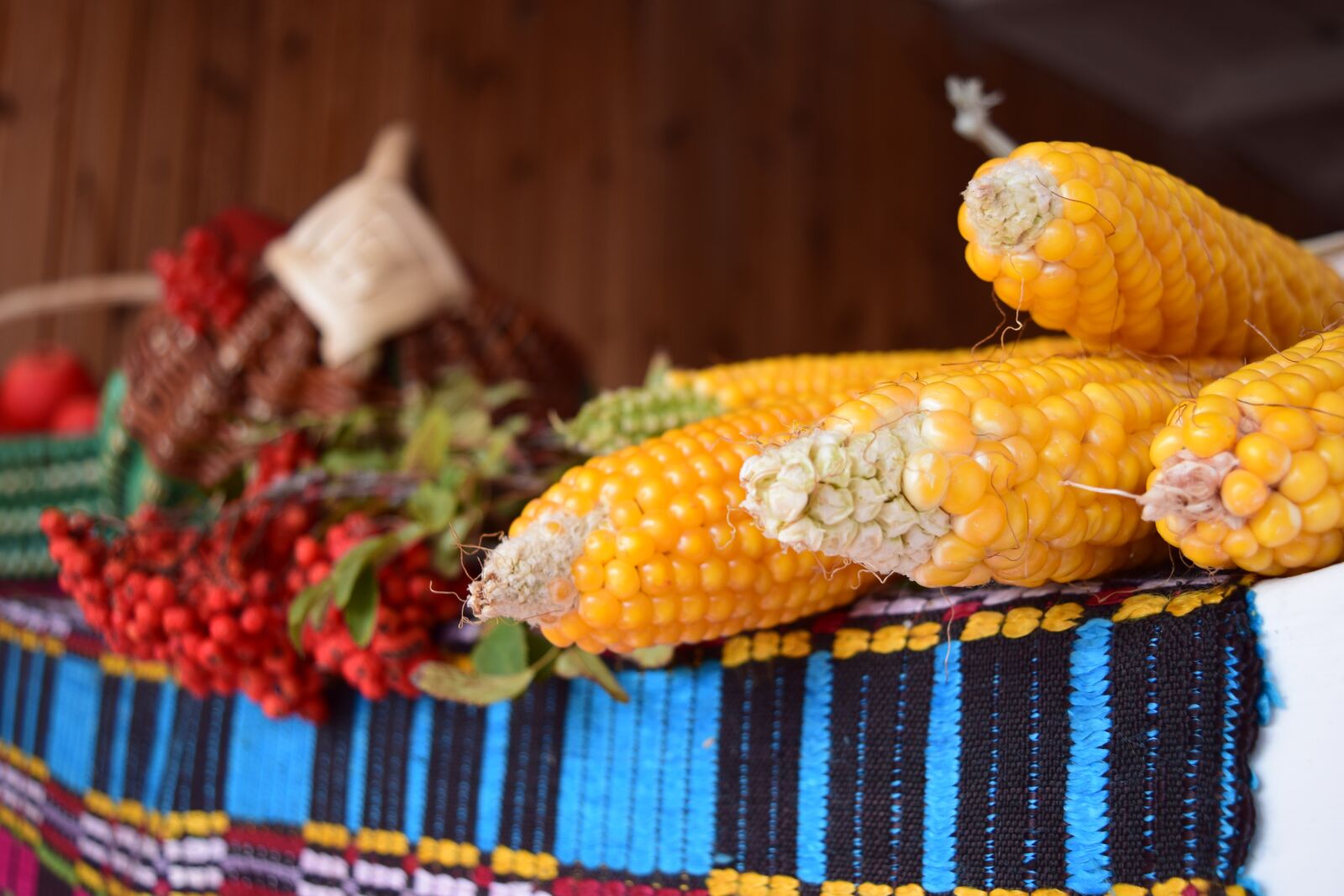Nikon D5300 sample photo. Corn, harvest, agriculture photography