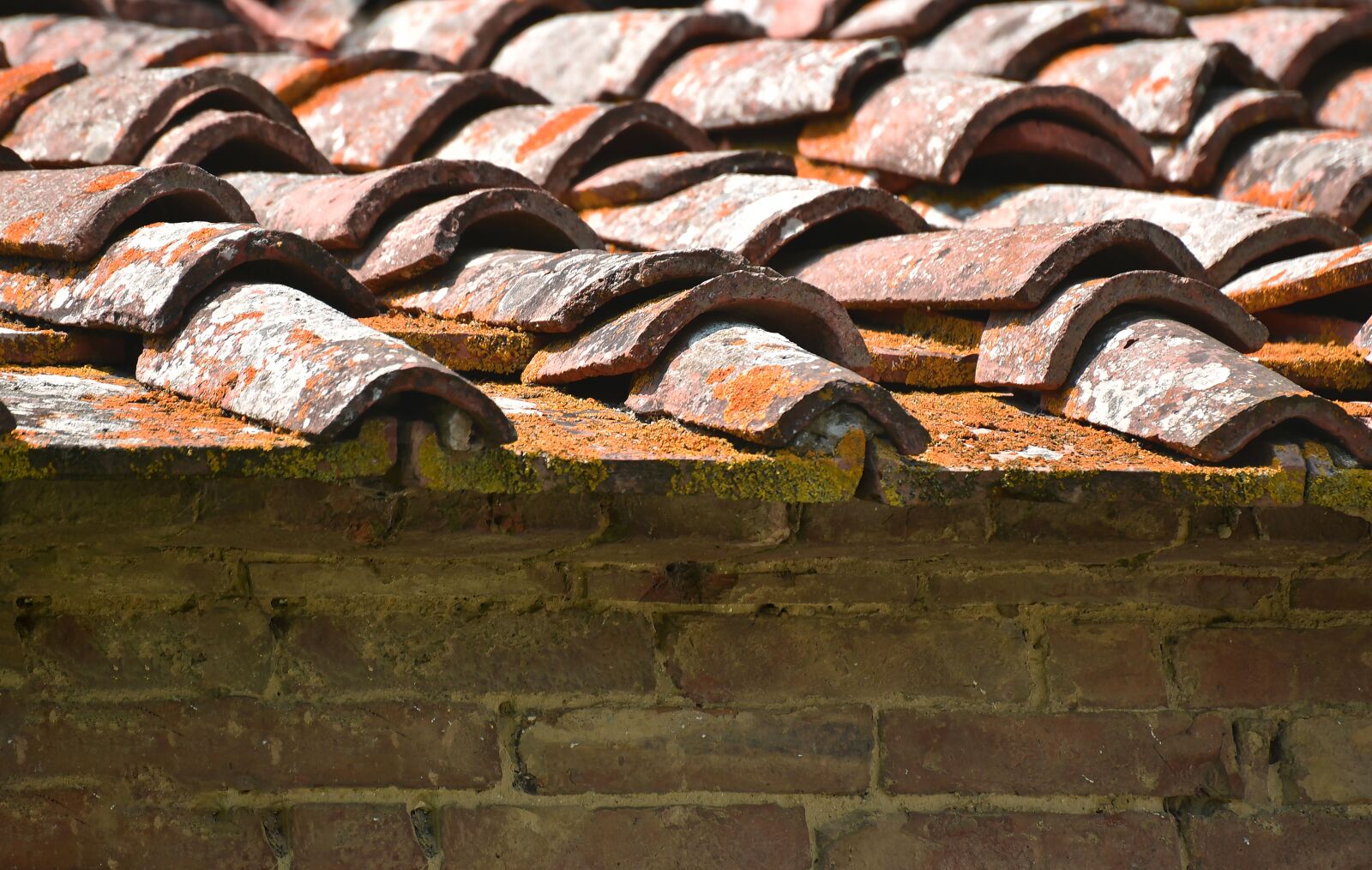 Nikon D750 sample photo. Roof, tiled, red photography