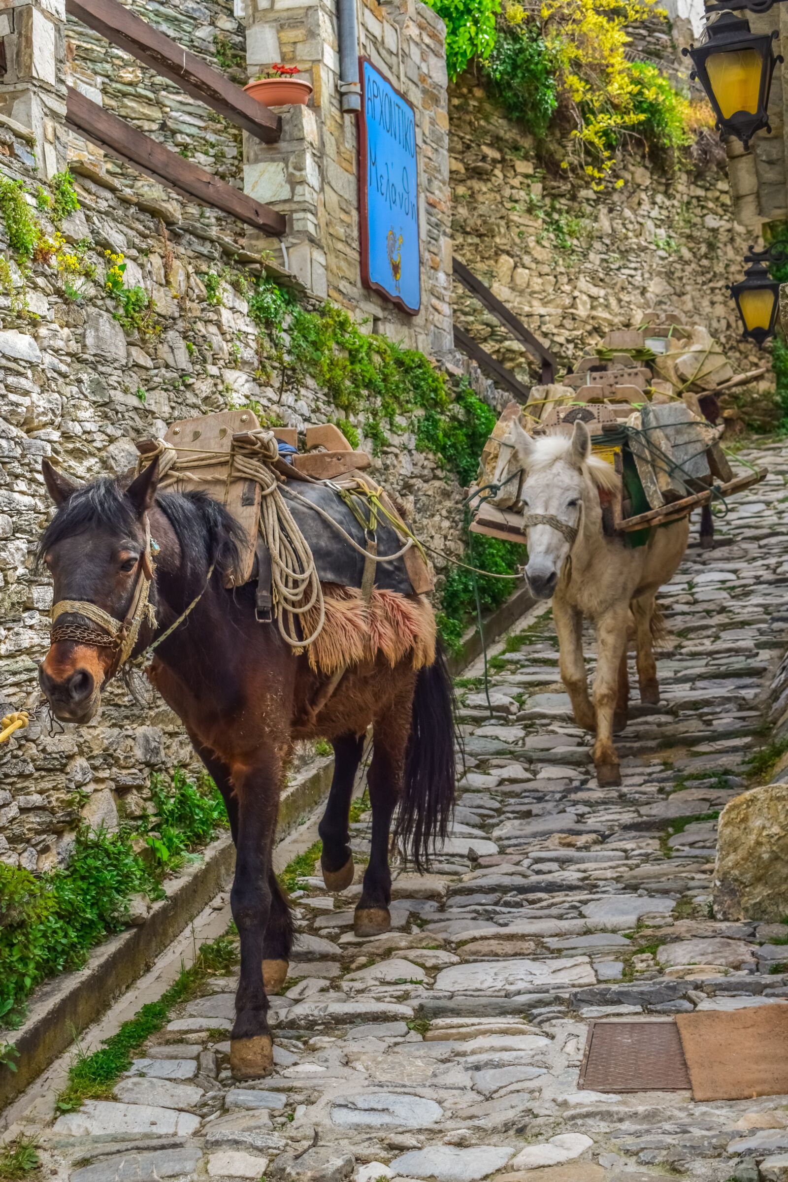 Nikon D3300 sample photo. Mules, path, cobblestone photography