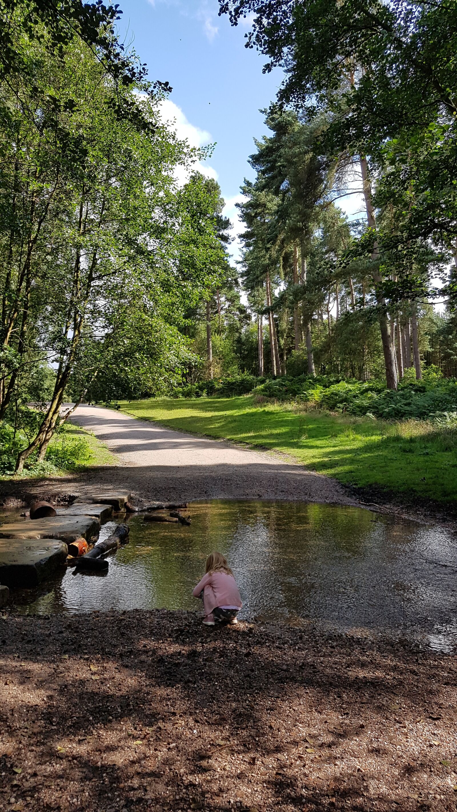 Samsung Galaxy S7 sample photo. Woods, water, nature photography